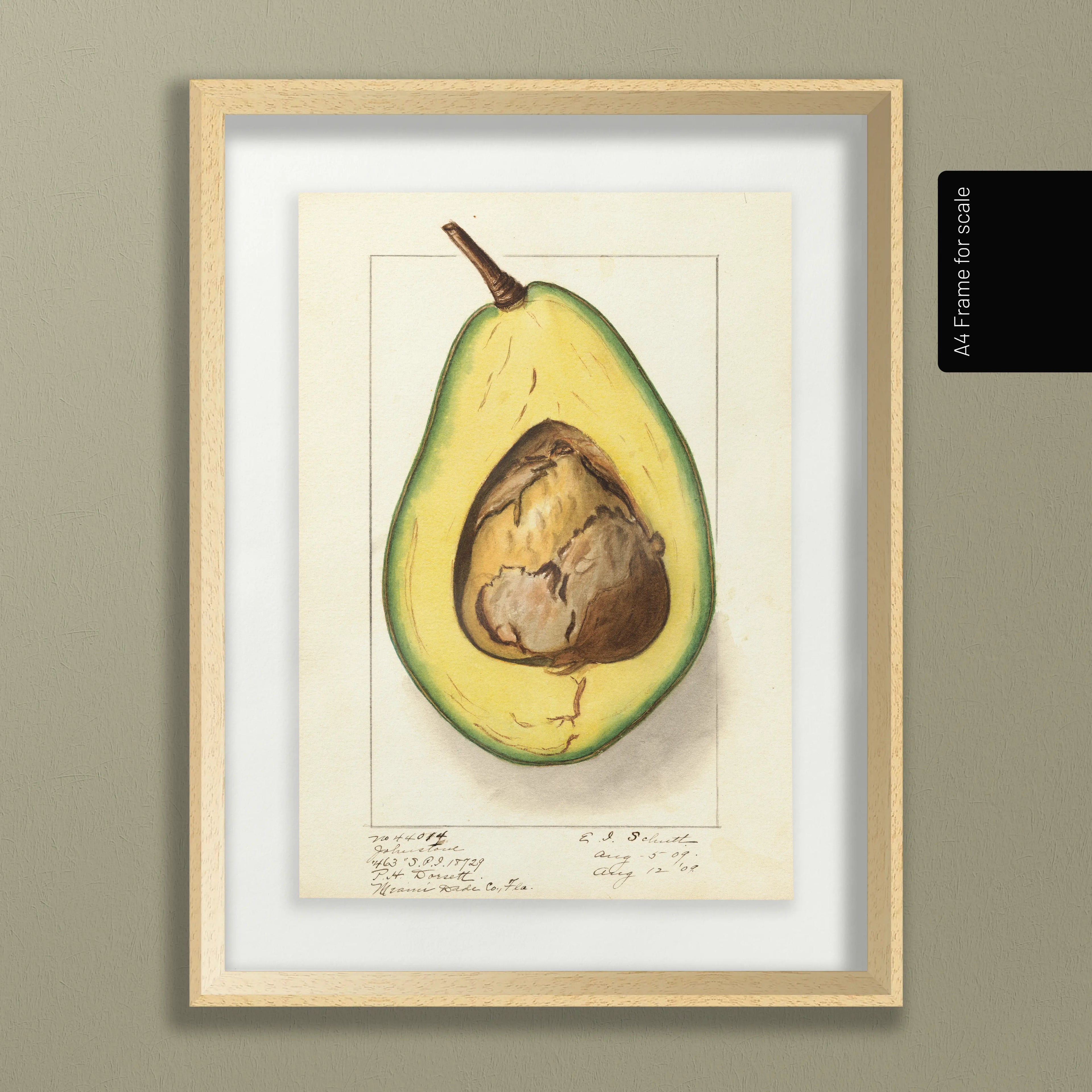 Fruits & Vegetables: Plate No. 30