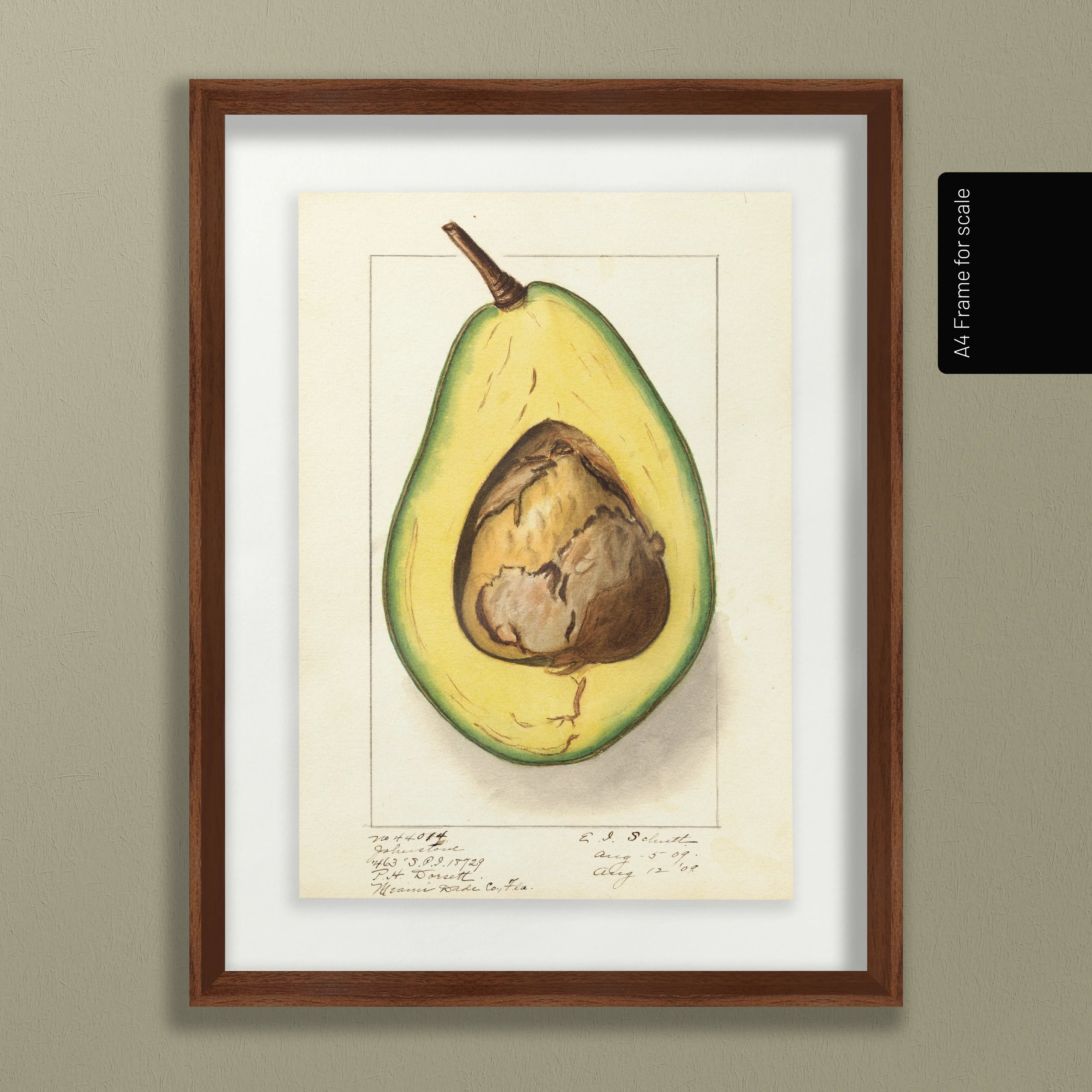 Fruits & Vegetables: Plate No. 30