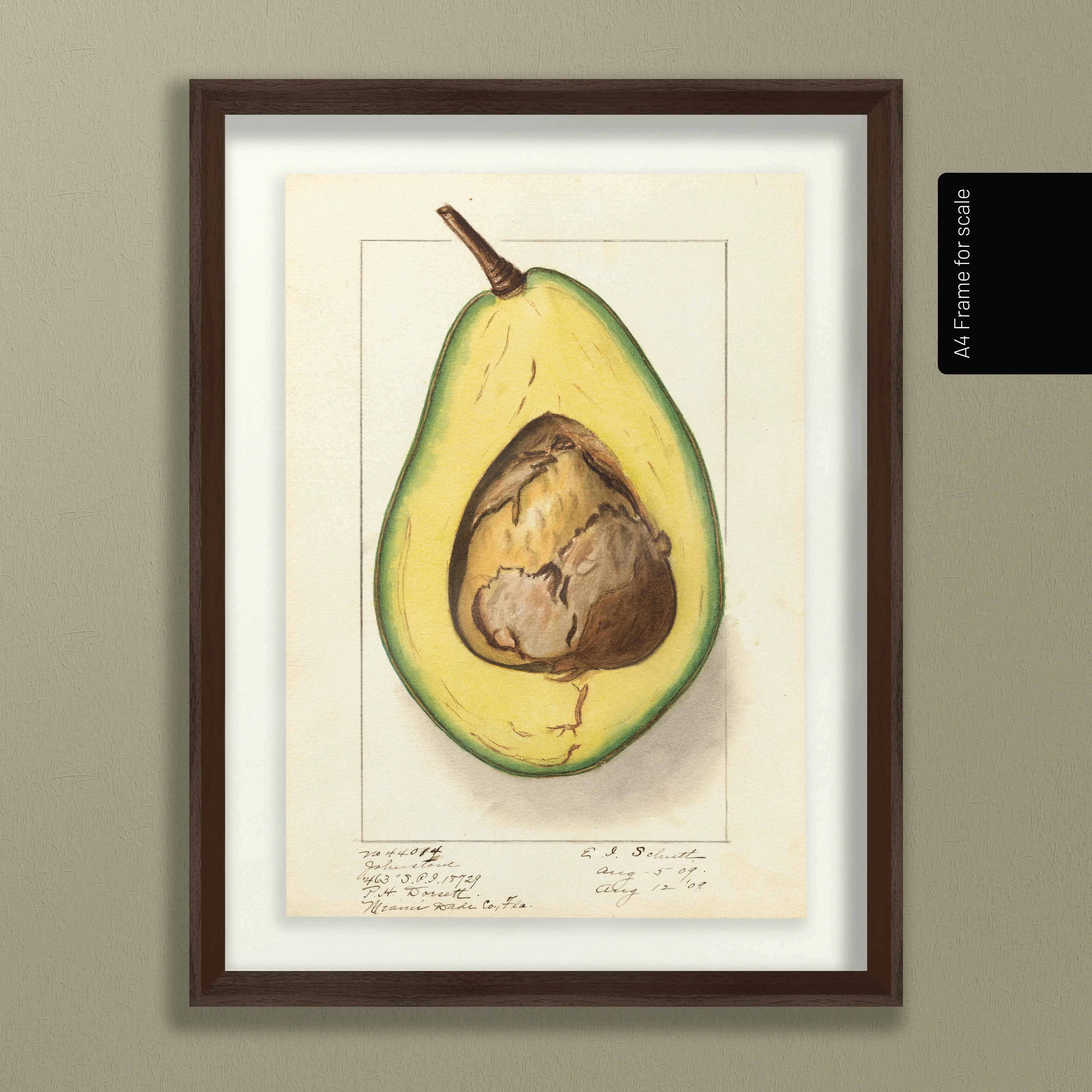 Fruits & Vegetables: Plate No. 30