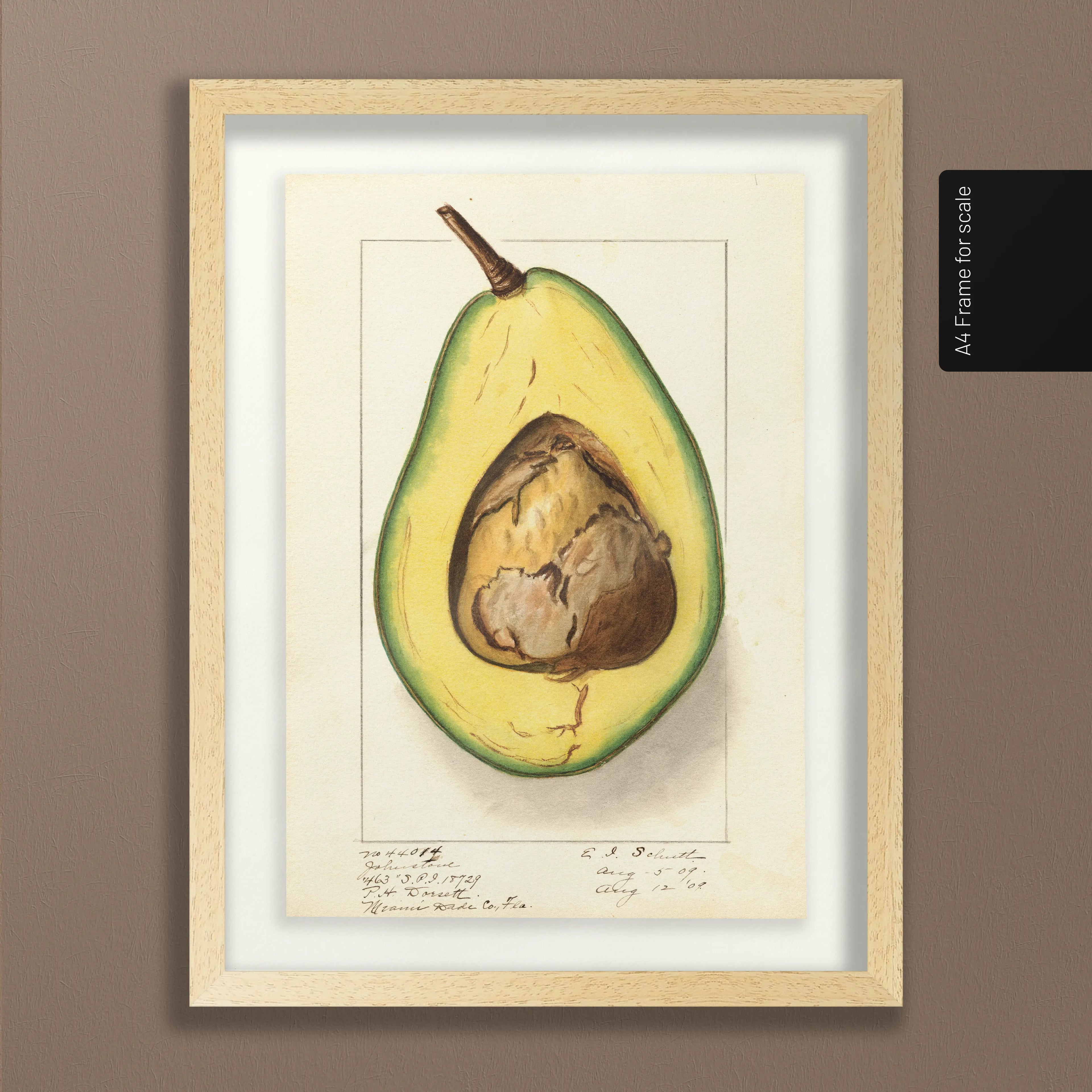 Fruits & Vegetables: Plate No. 30