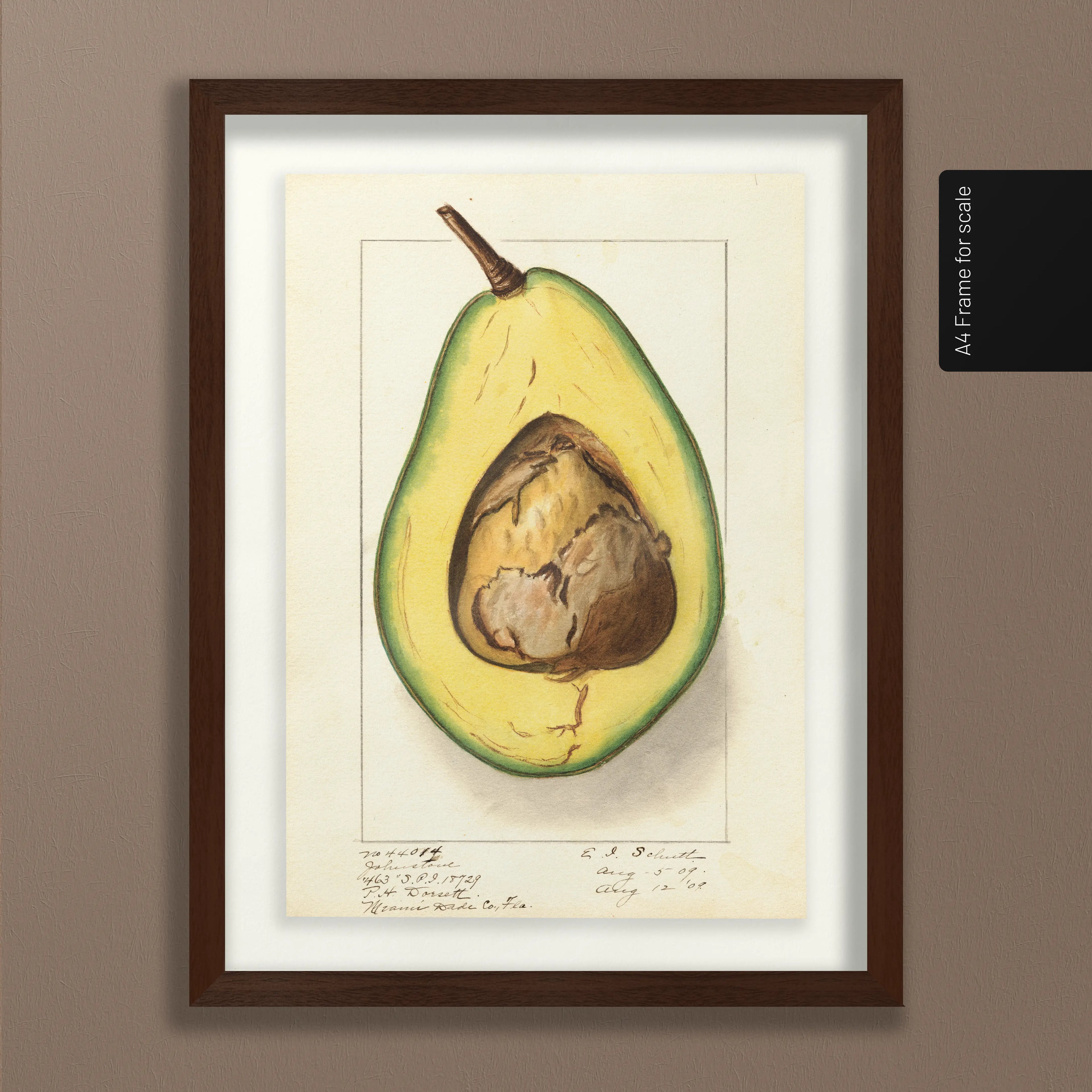 Fruits & Vegetables: Plate No. 30