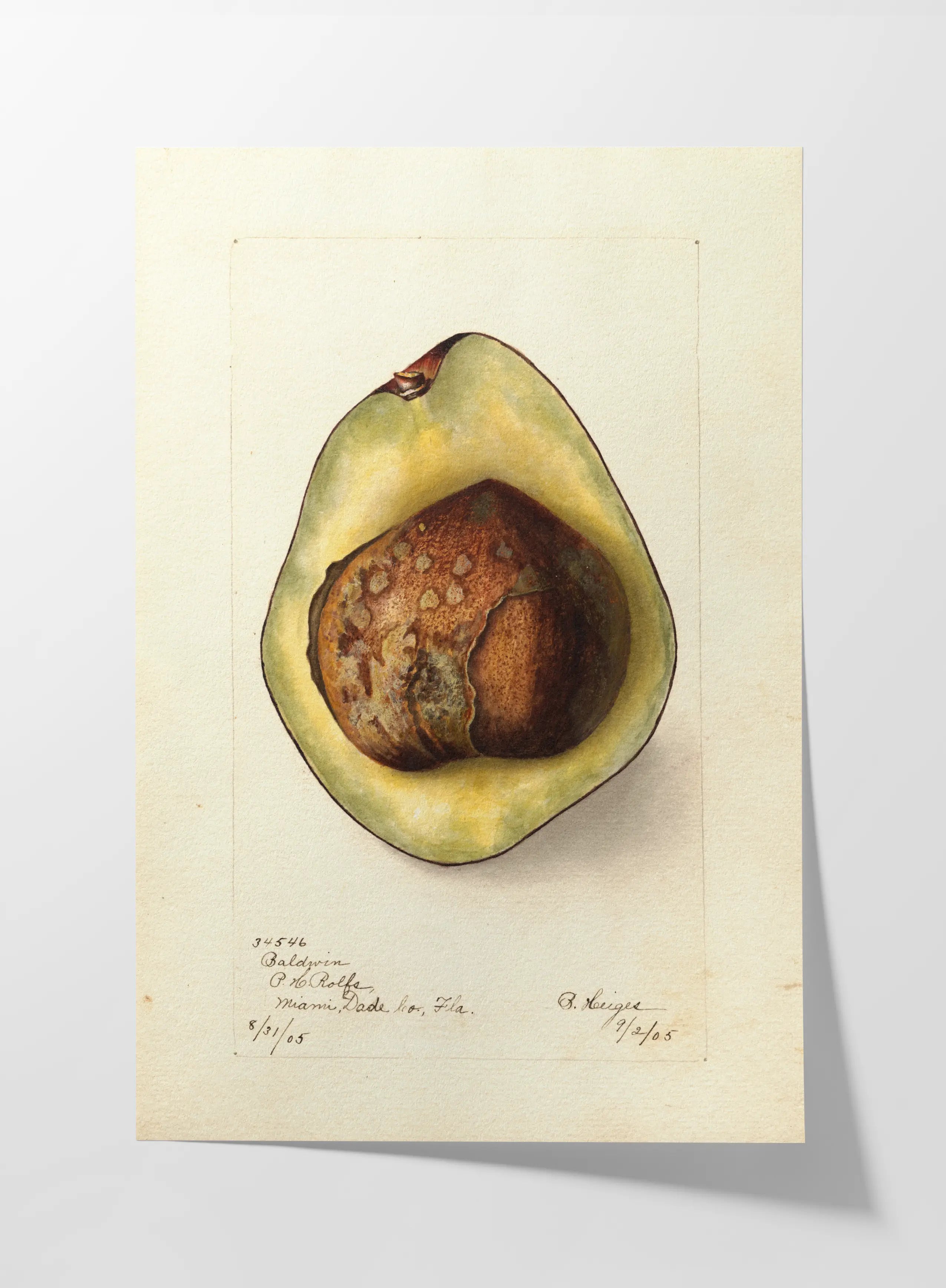 Fruits & Vegetables: Plate No. 31