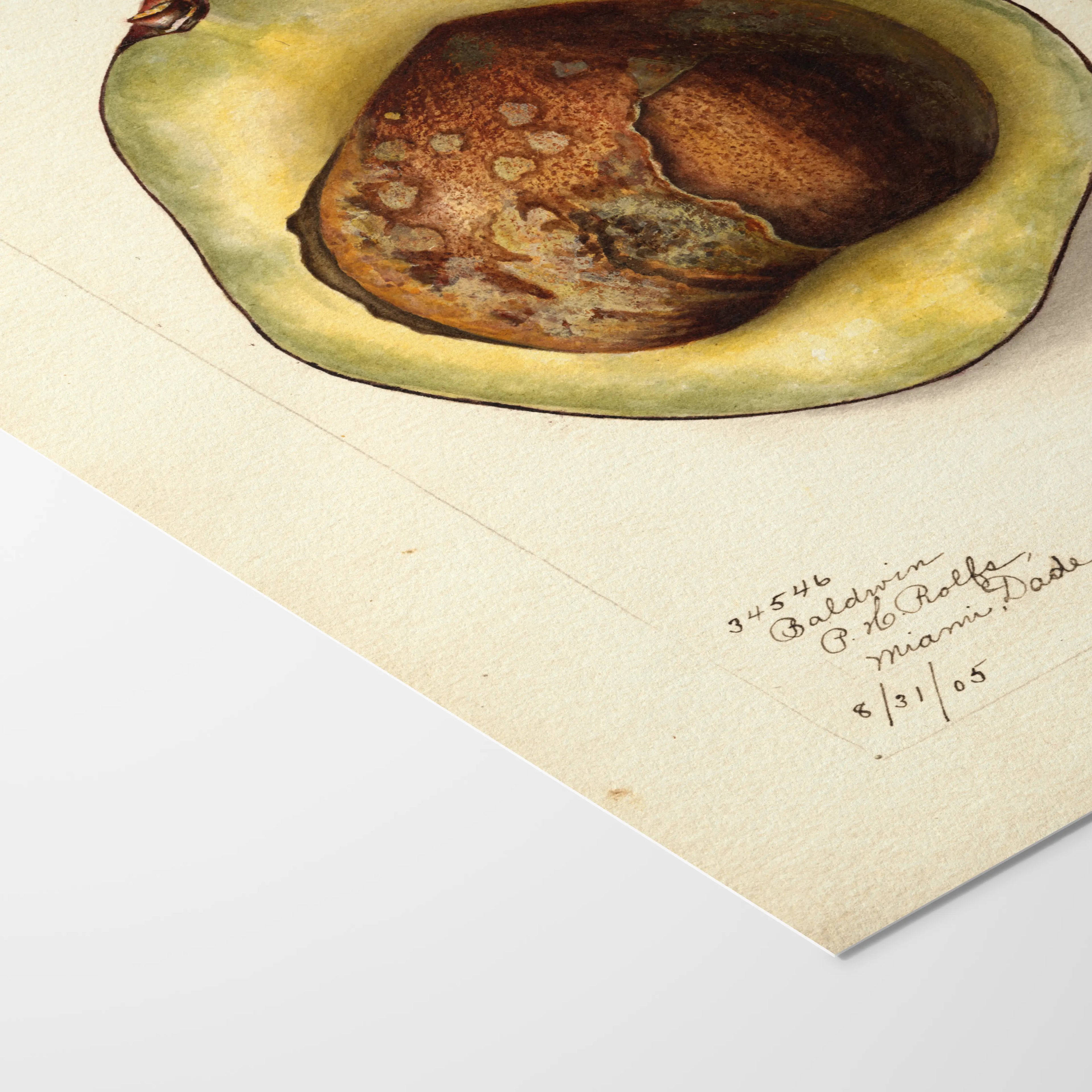 Fruits & Vegetables: Plate No. 31