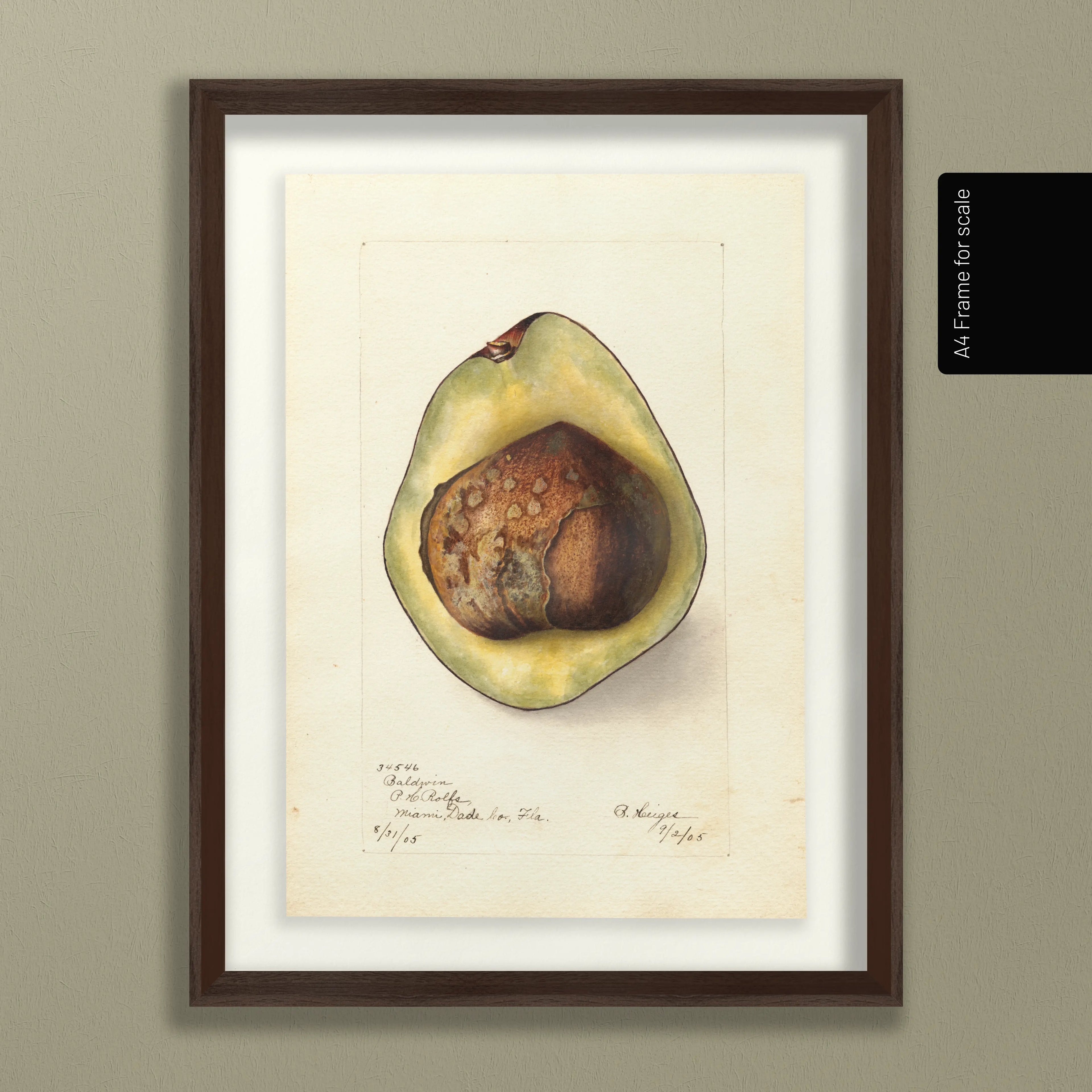 Fruits & Vegetables: Plate No. 31