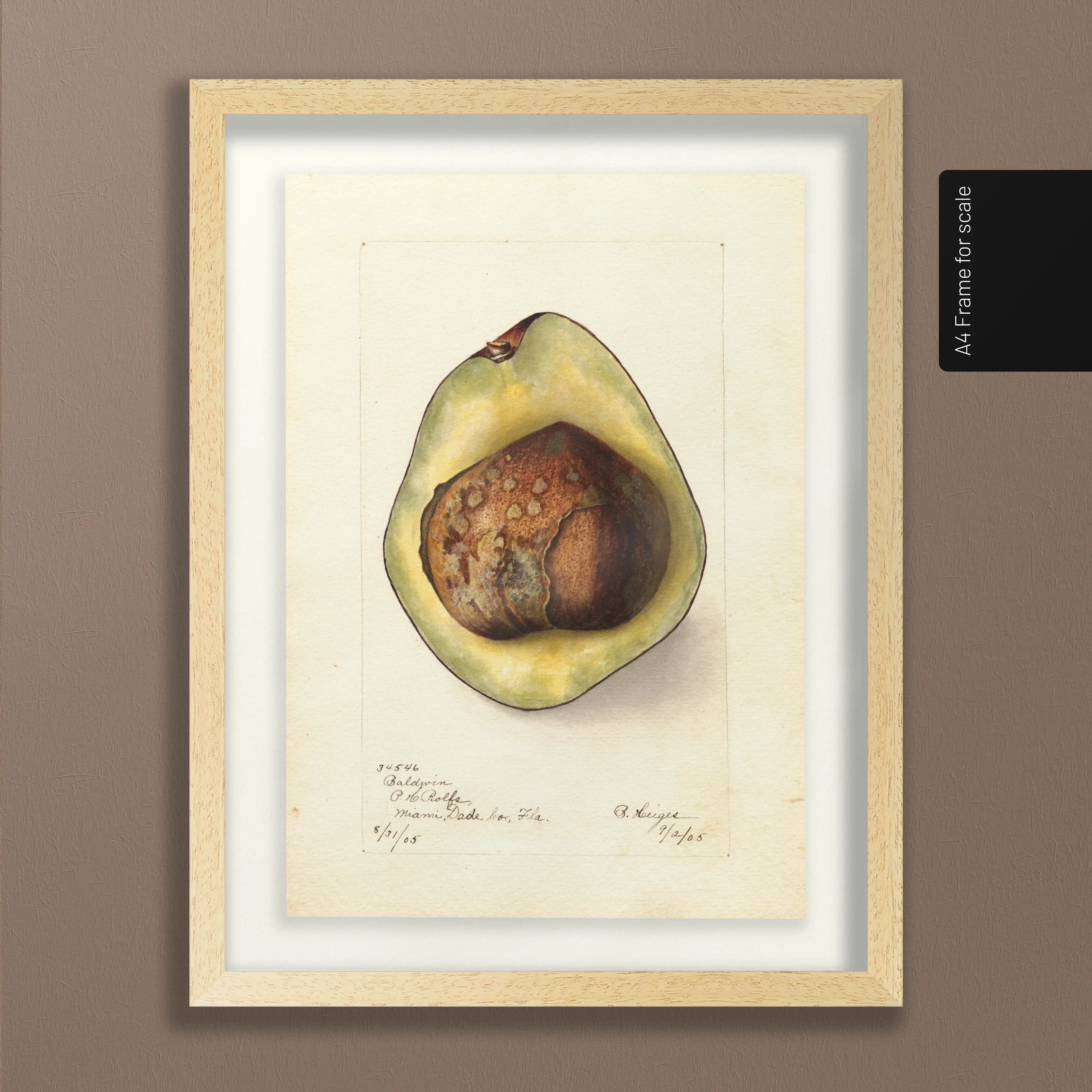 Fruits & Vegetables: Plate No. 31