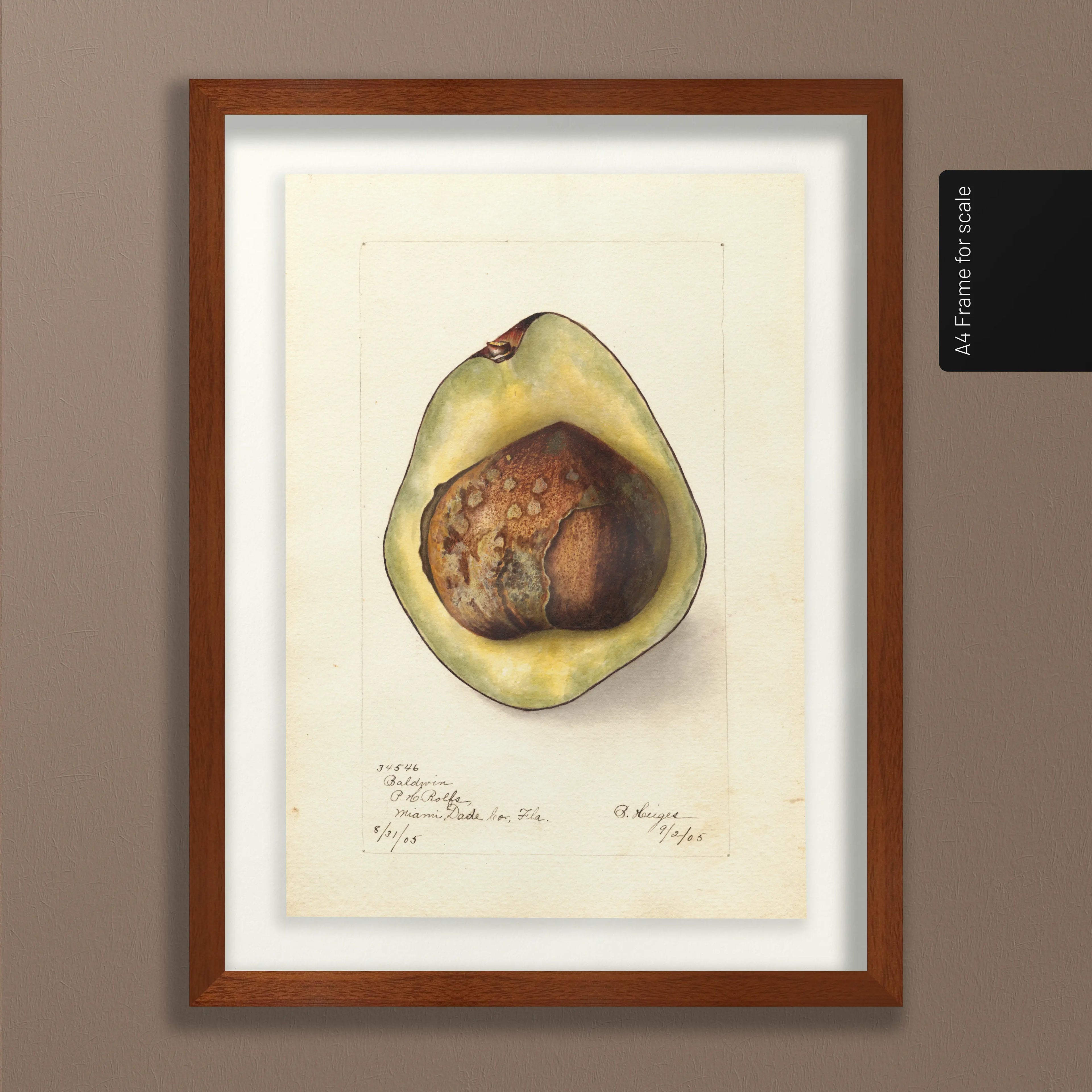 Fruits & Vegetables: Plate No. 31