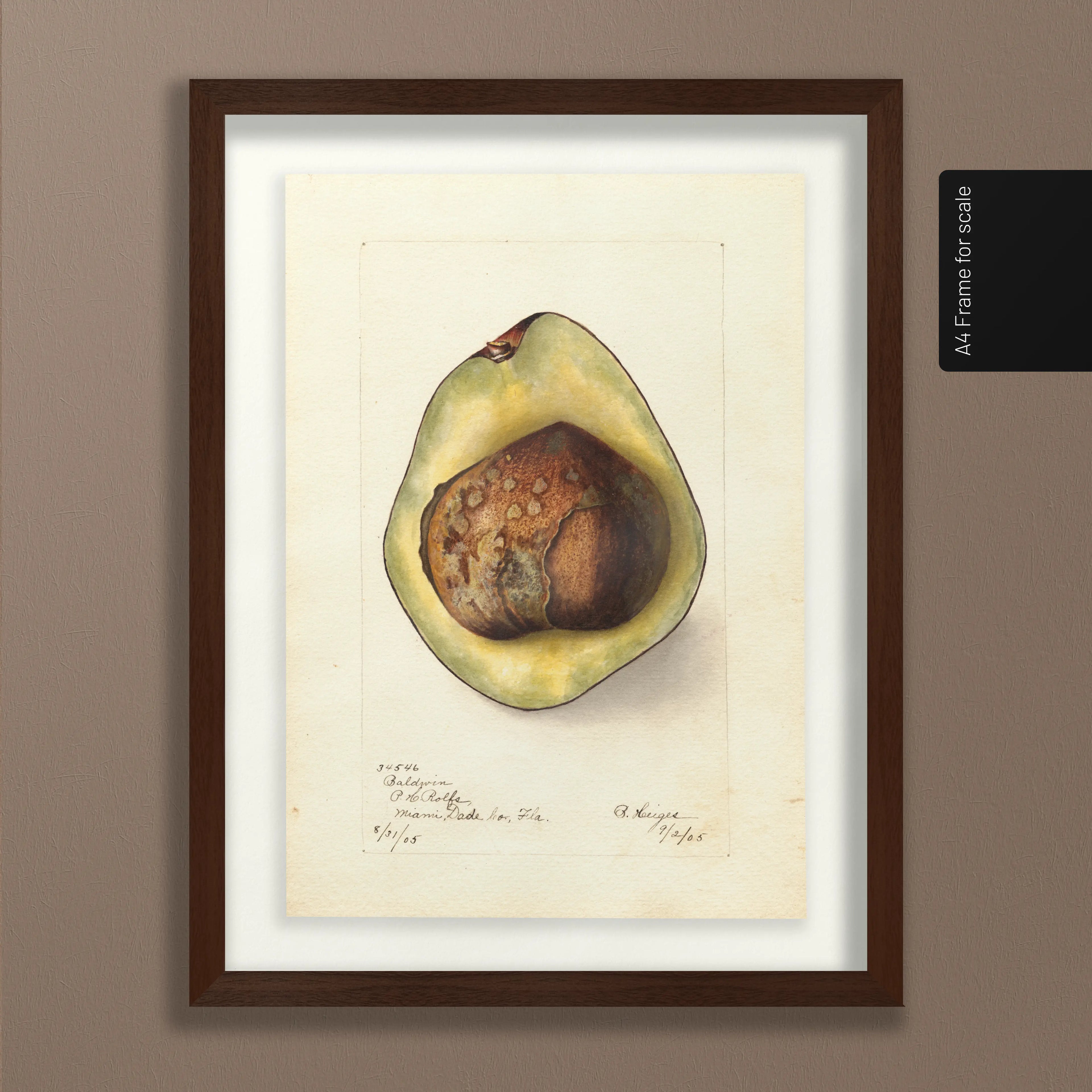 Fruits & Vegetables: Plate No. 31