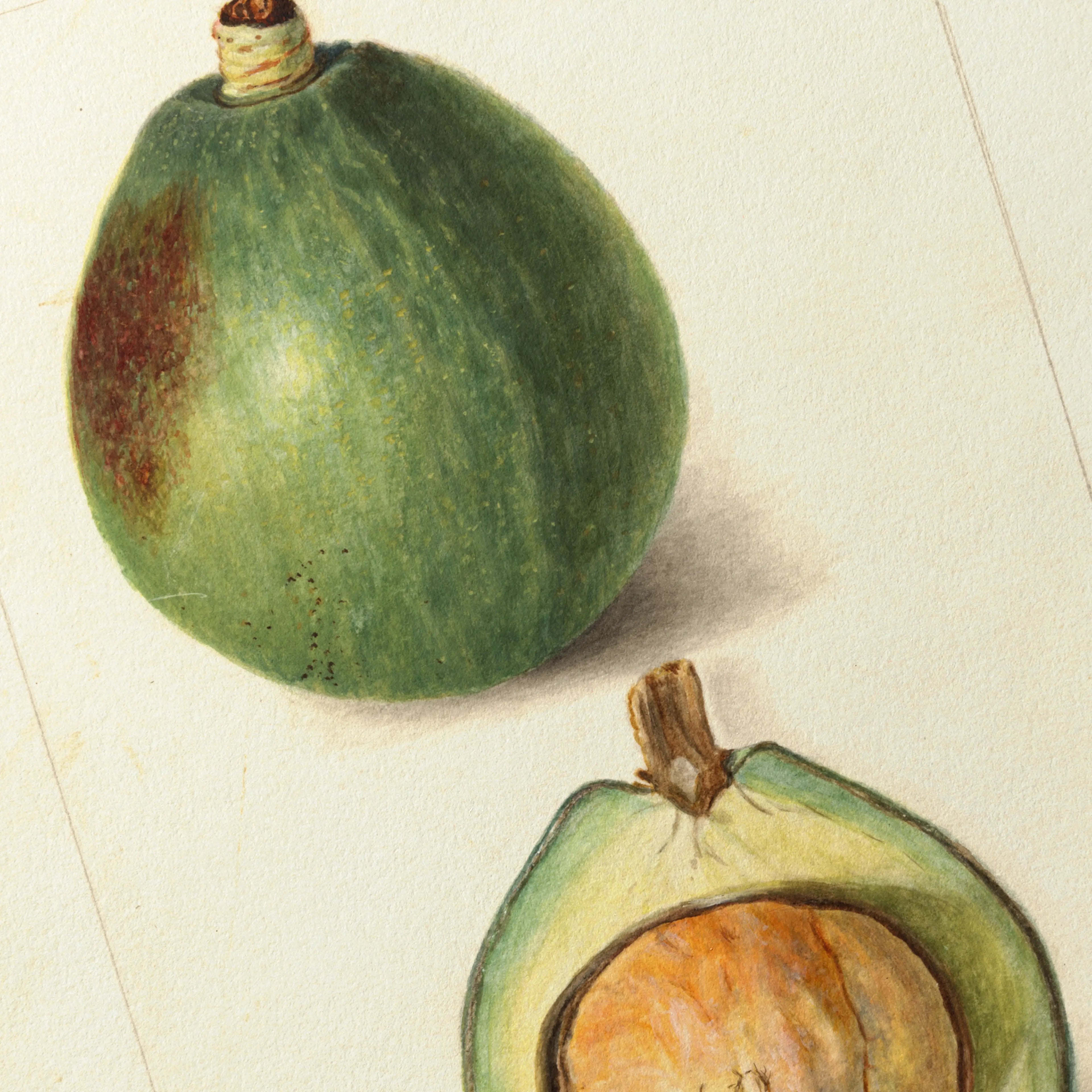 Fruits & Vegetables: Plate No. 32