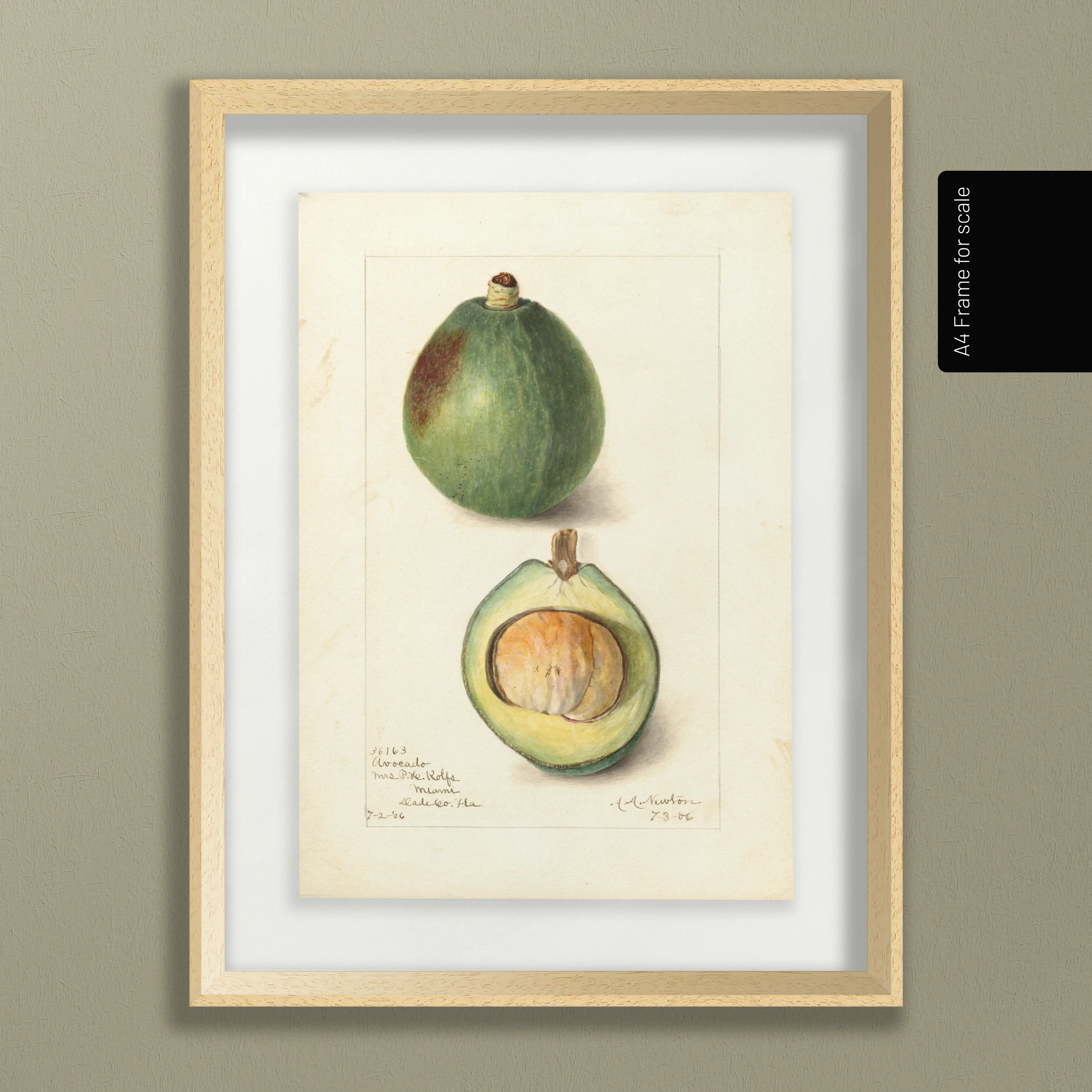 Fruits & Vegetables: Plate No. 32