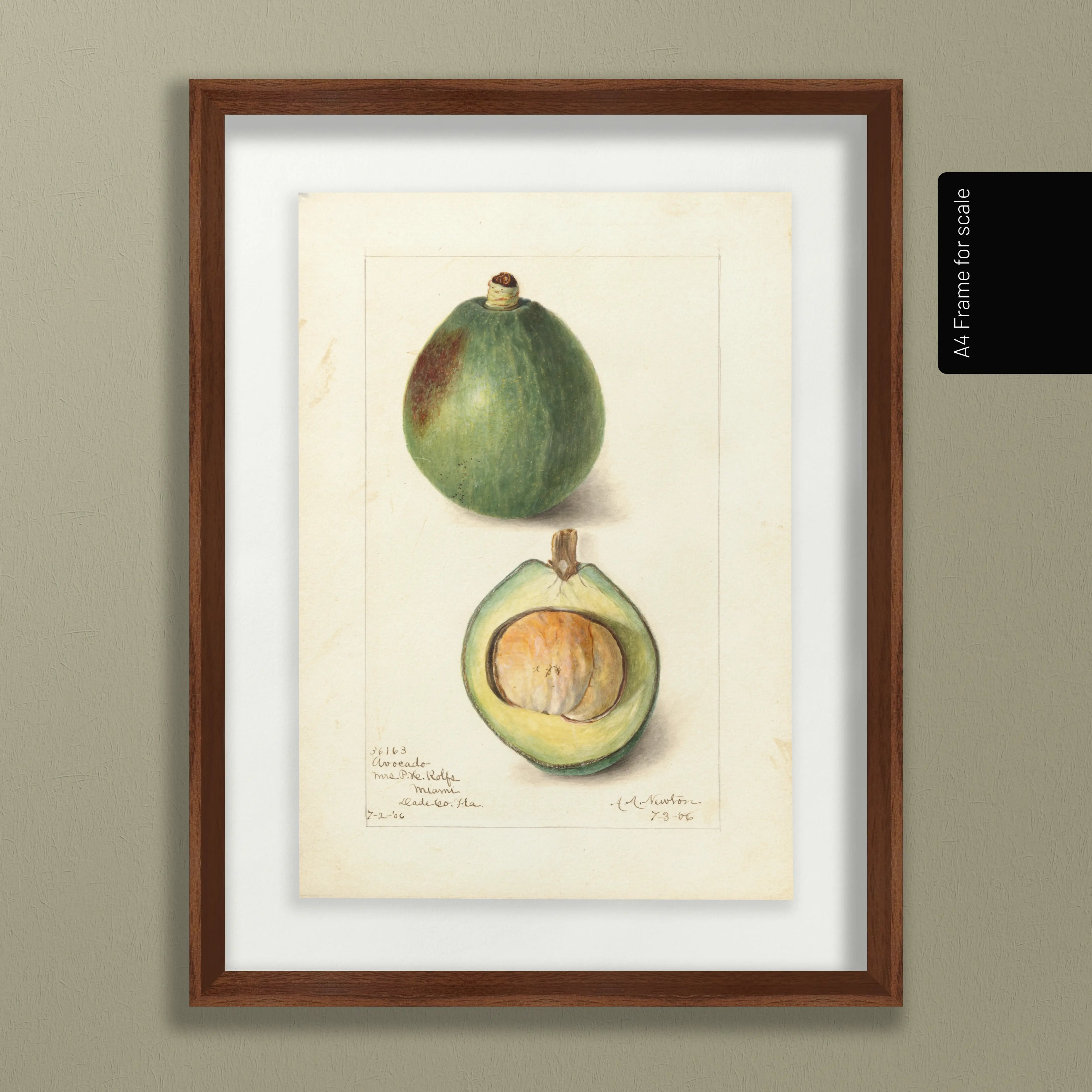 Fruits & Vegetables: Plate No. 32