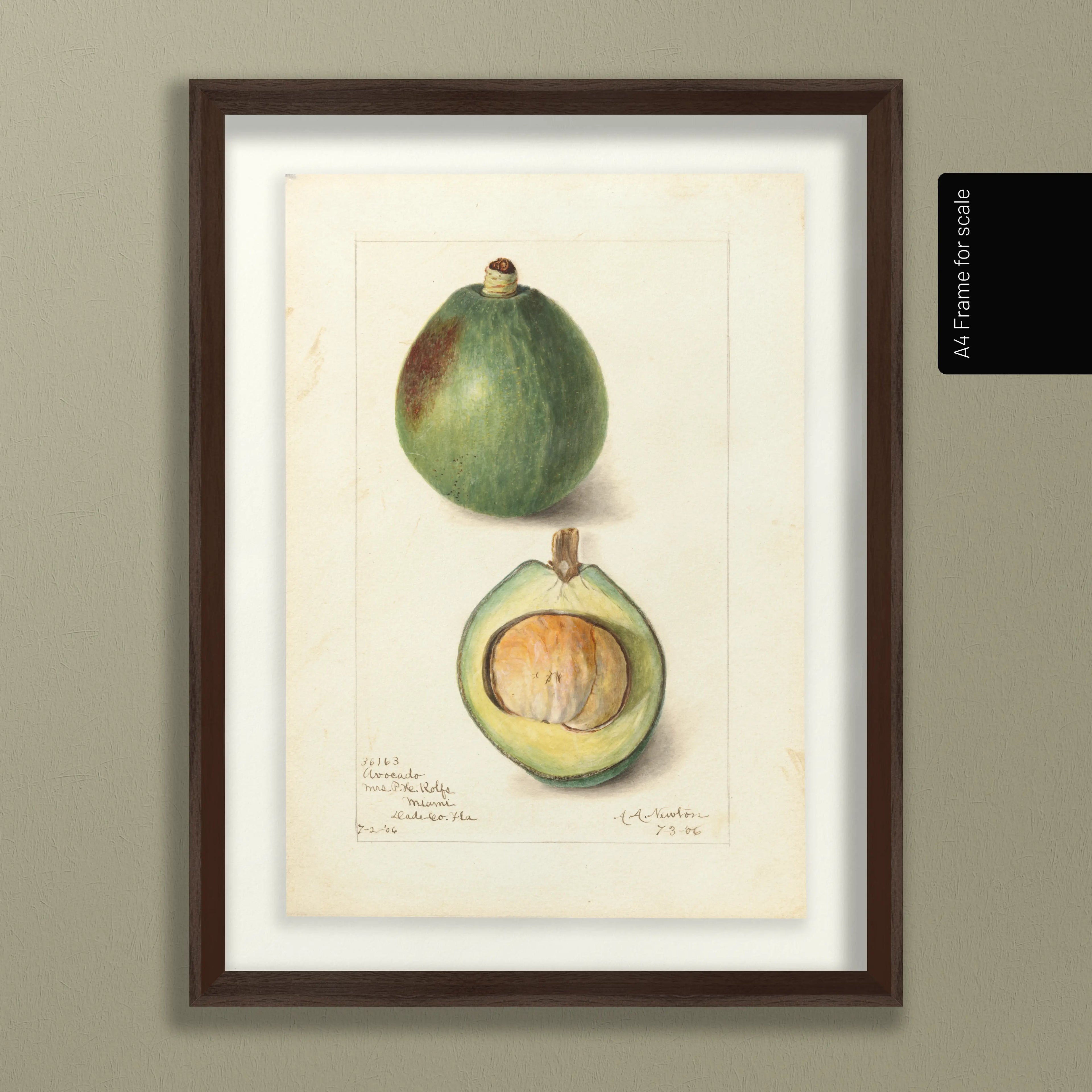 Fruits & Vegetables: Plate No. 32