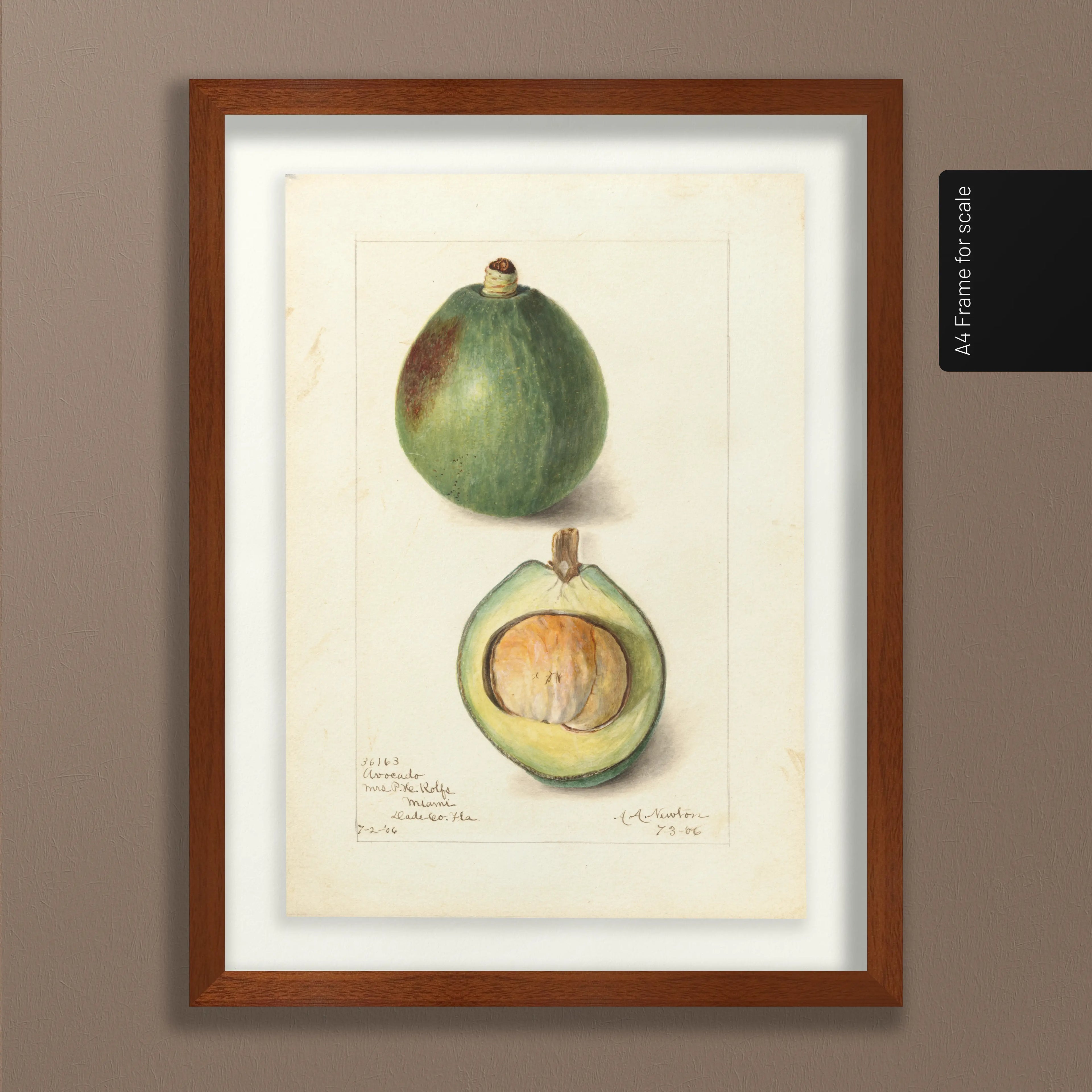 Fruits & Vegetables: Plate No. 32