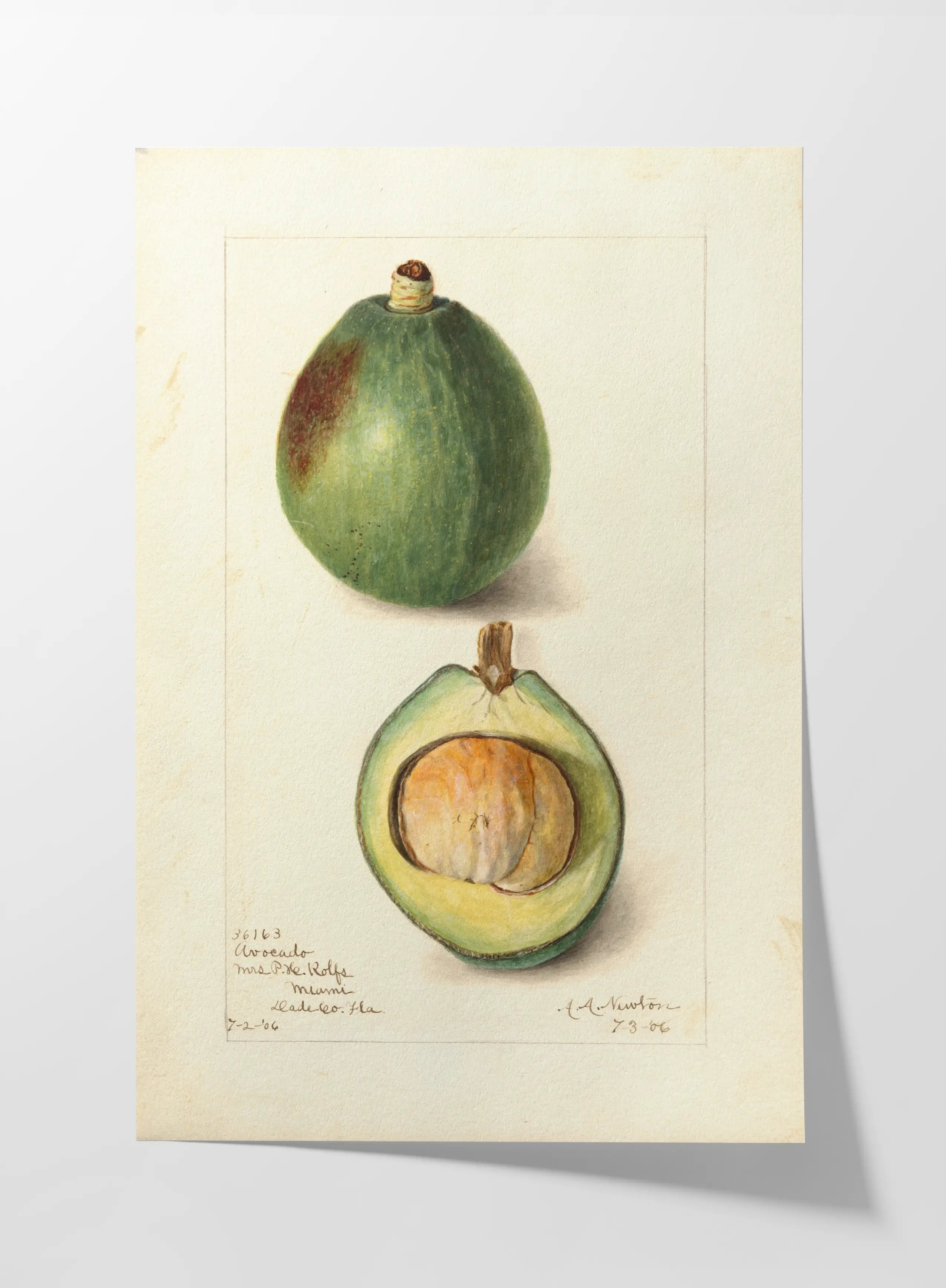 Fruits & Vegetables: Plate No. 32