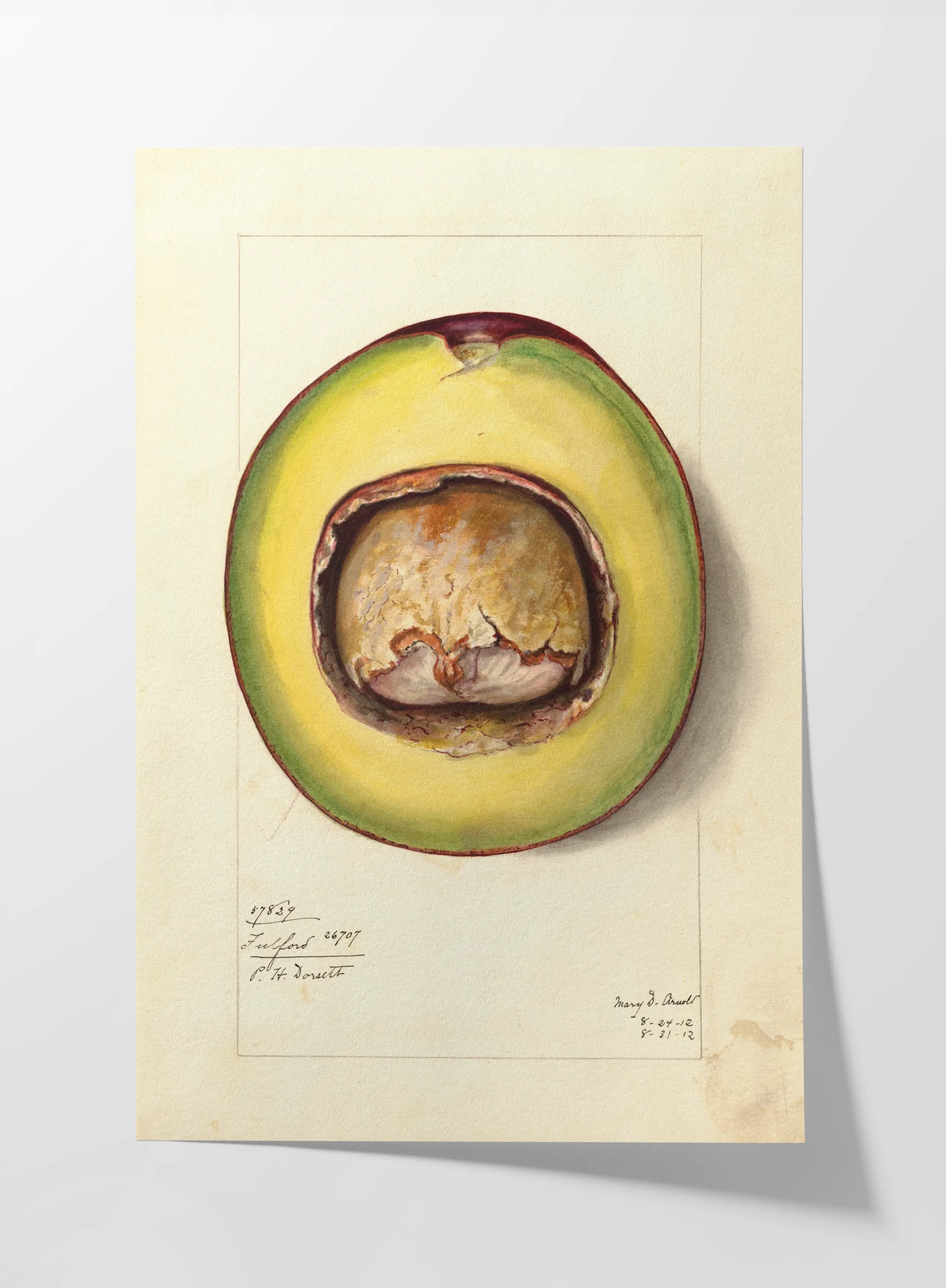 Fruits & Vegetables: Plate No. 33