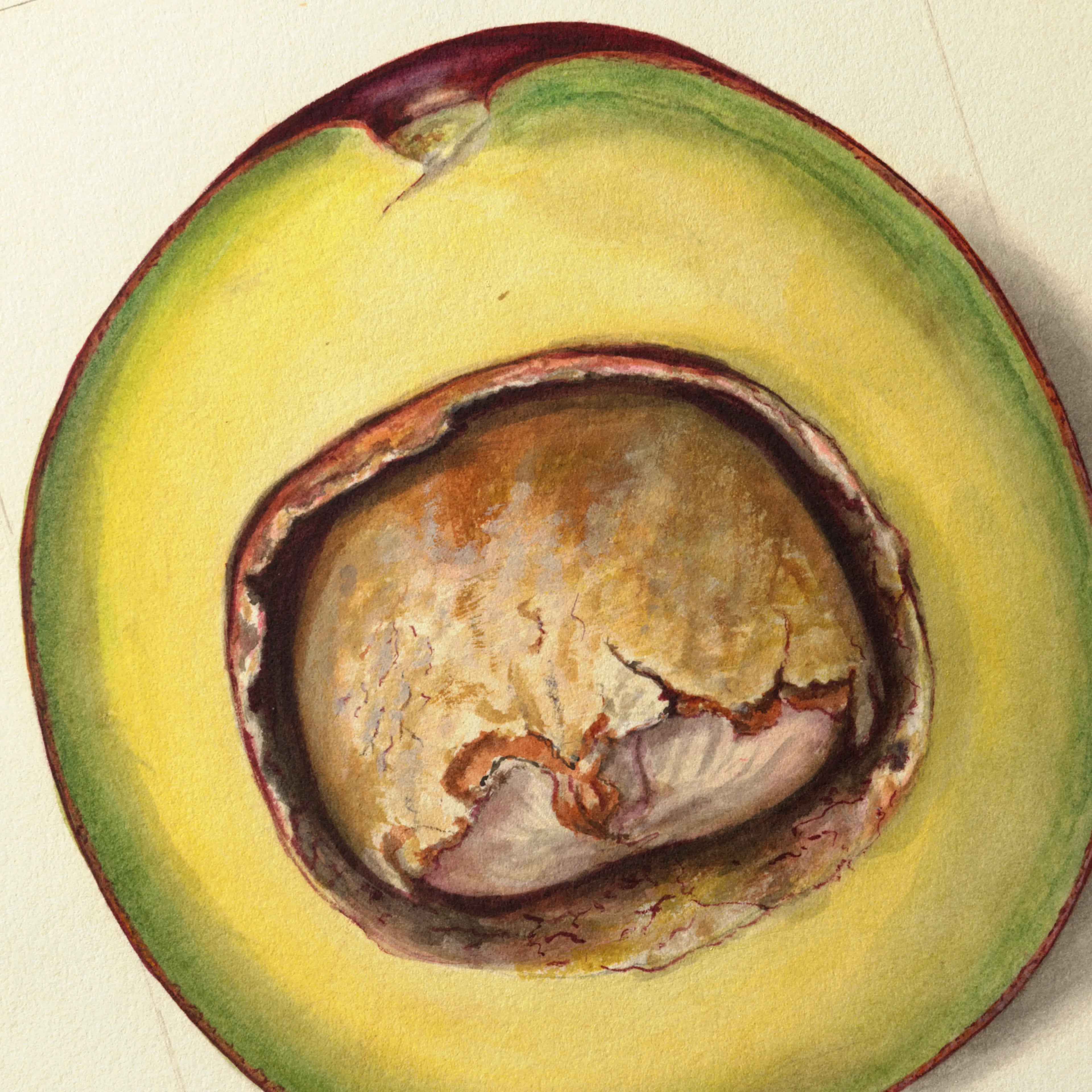 Fruits & Vegetables: Plate No. 33