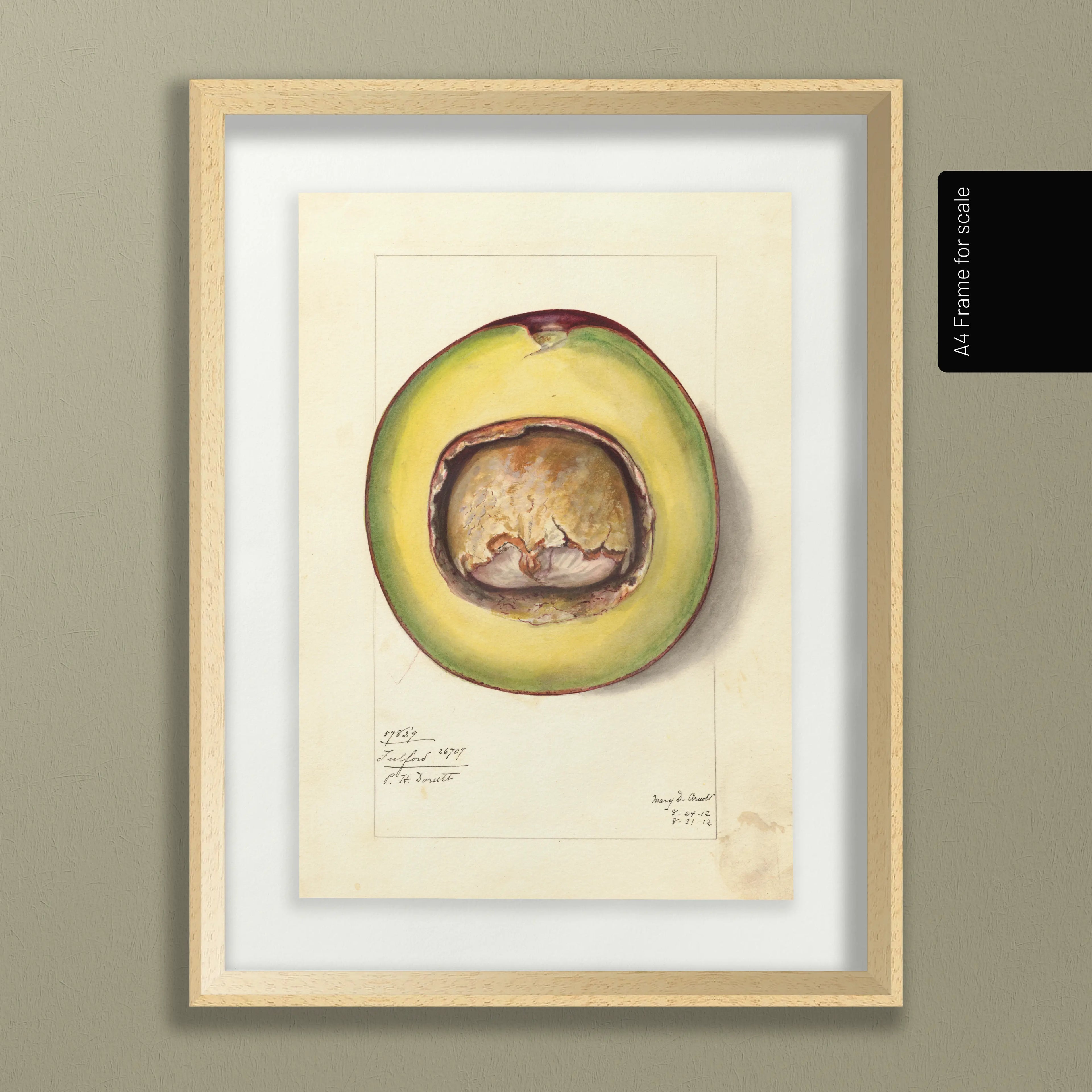 Fruits & Vegetables: Plate No. 33