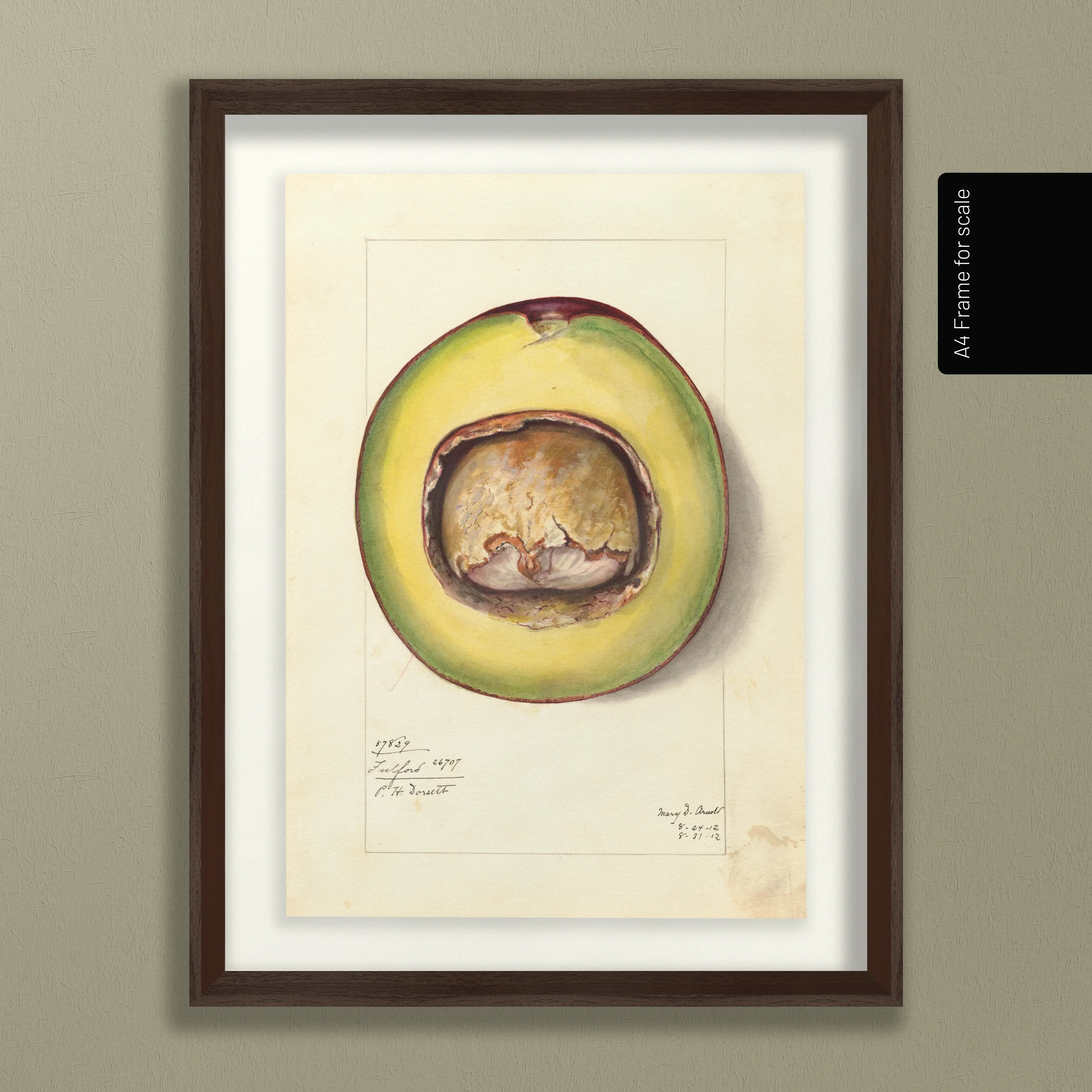 Fruits & Vegetables: Plate No. 33