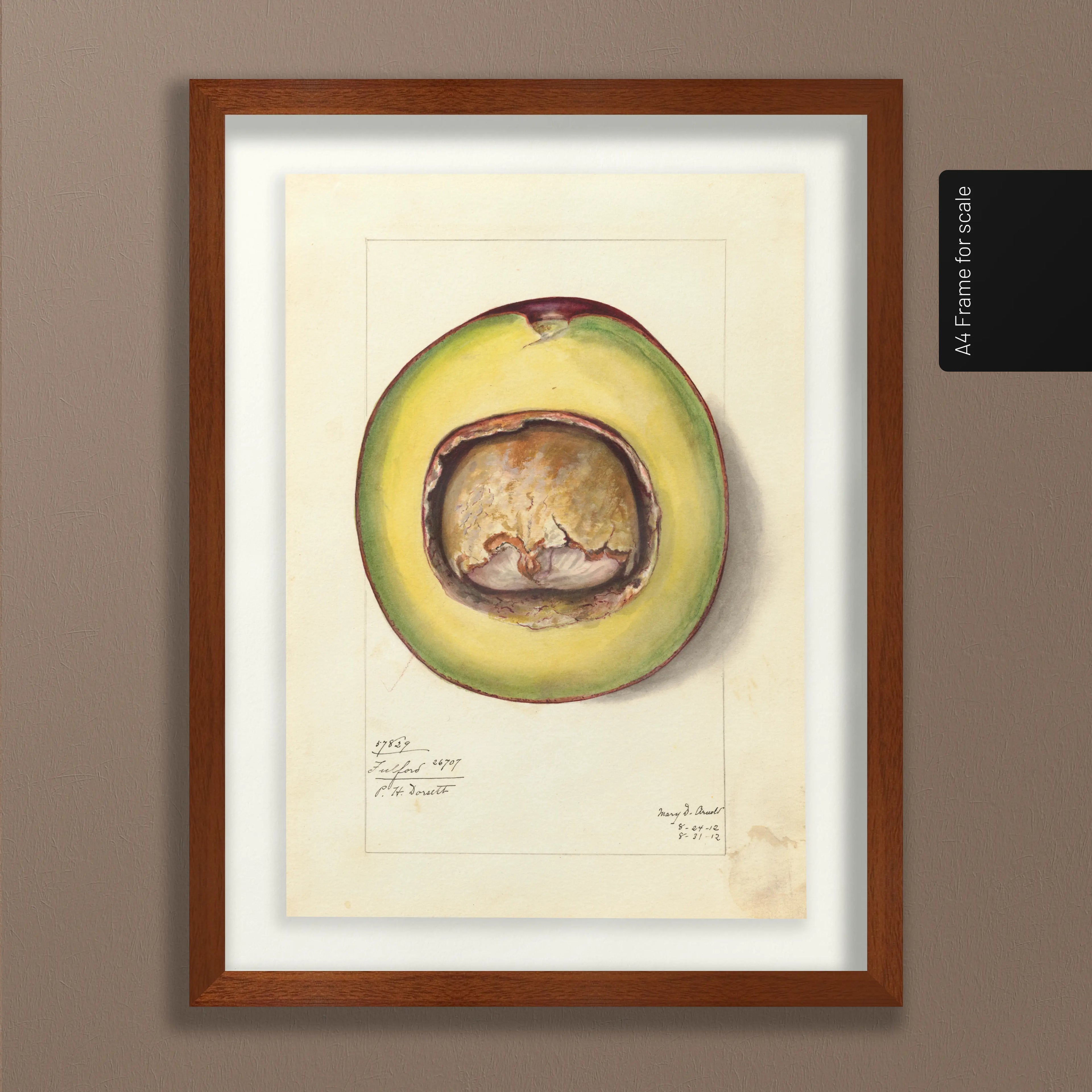 Fruits & Vegetables: Plate No. 33