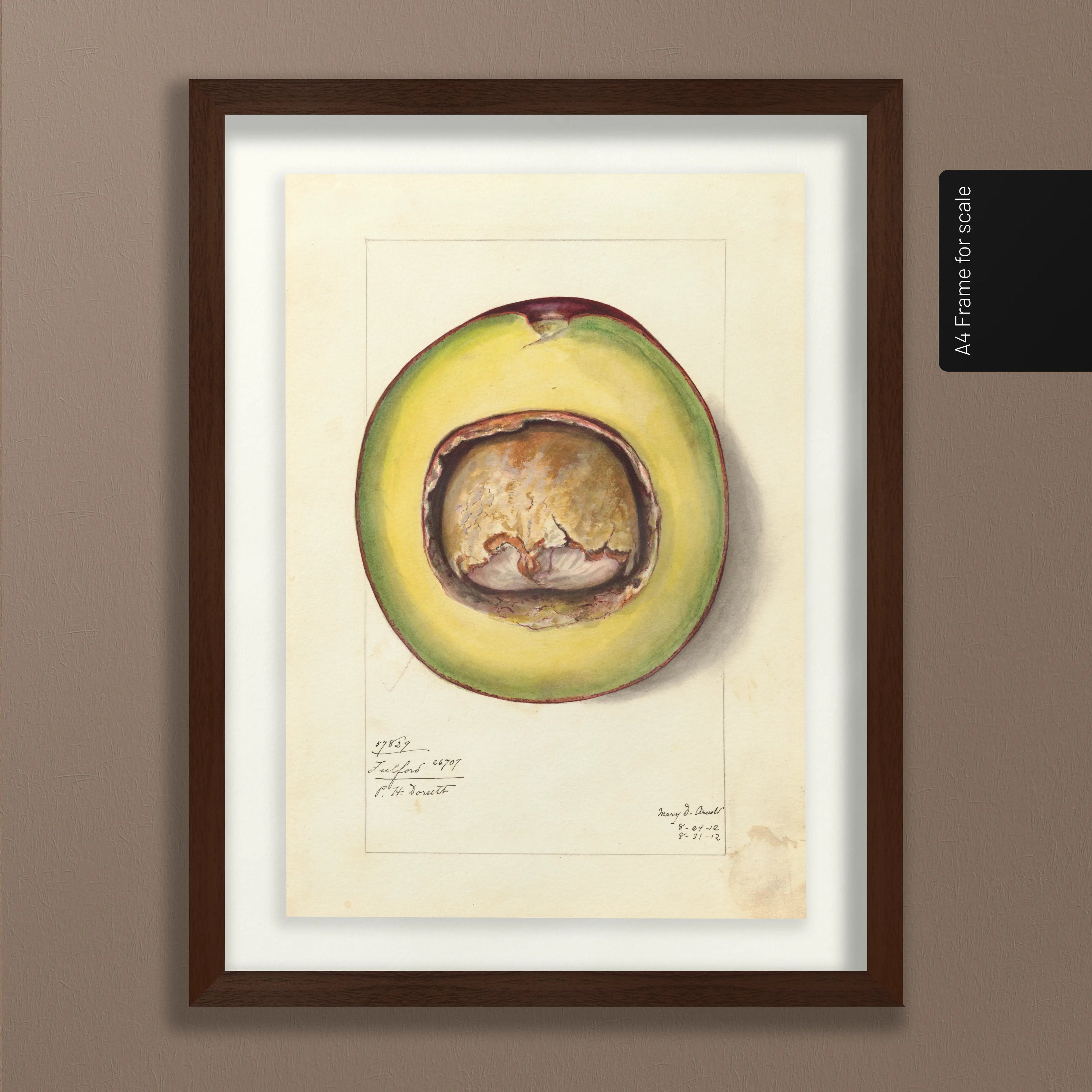 Fruits & Vegetables: Plate No. 33