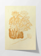 Fungi: Plate No. 02