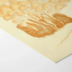 Fungi: Plate No. 02