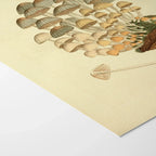 Fungi: Plate No. 03