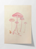 Fungi: Plate No. 05