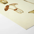 Fungi: Plate No. 14