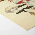 Fungi: Plate No. 26