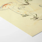 Fungi: Plate No. 28