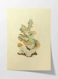 Fungi: Plate No. 29