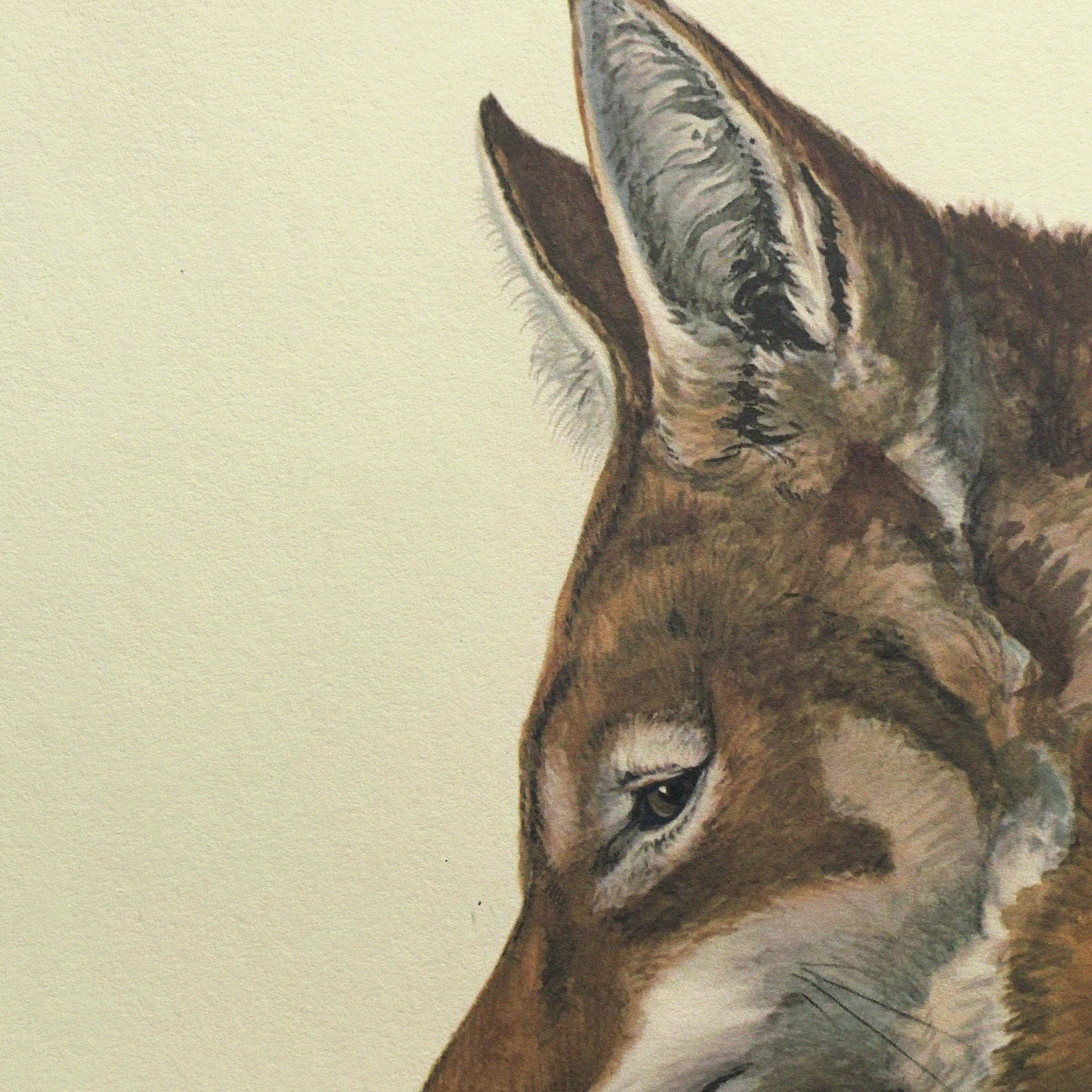 Natural History: Plate No. 06