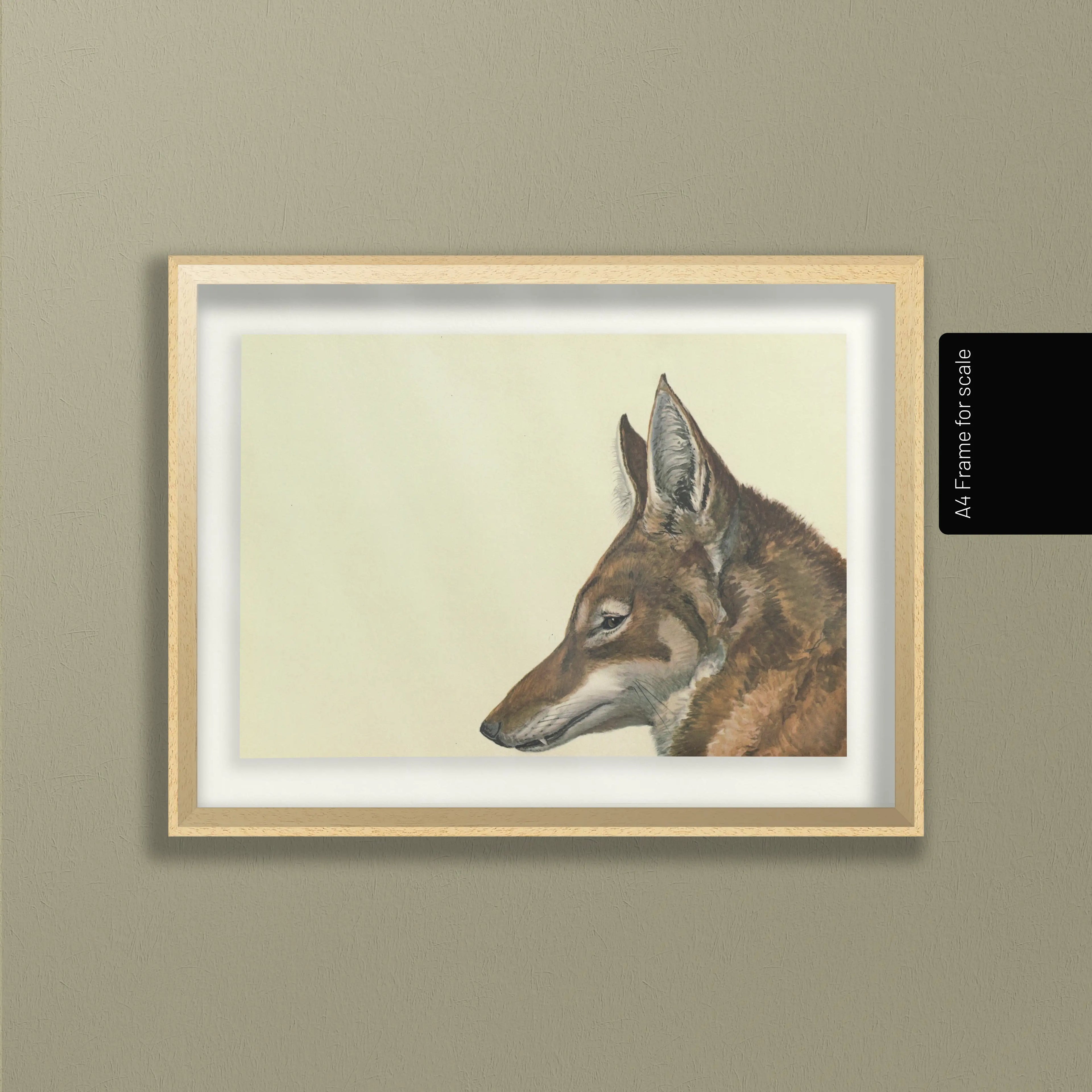 Natural History: Plate No. 06