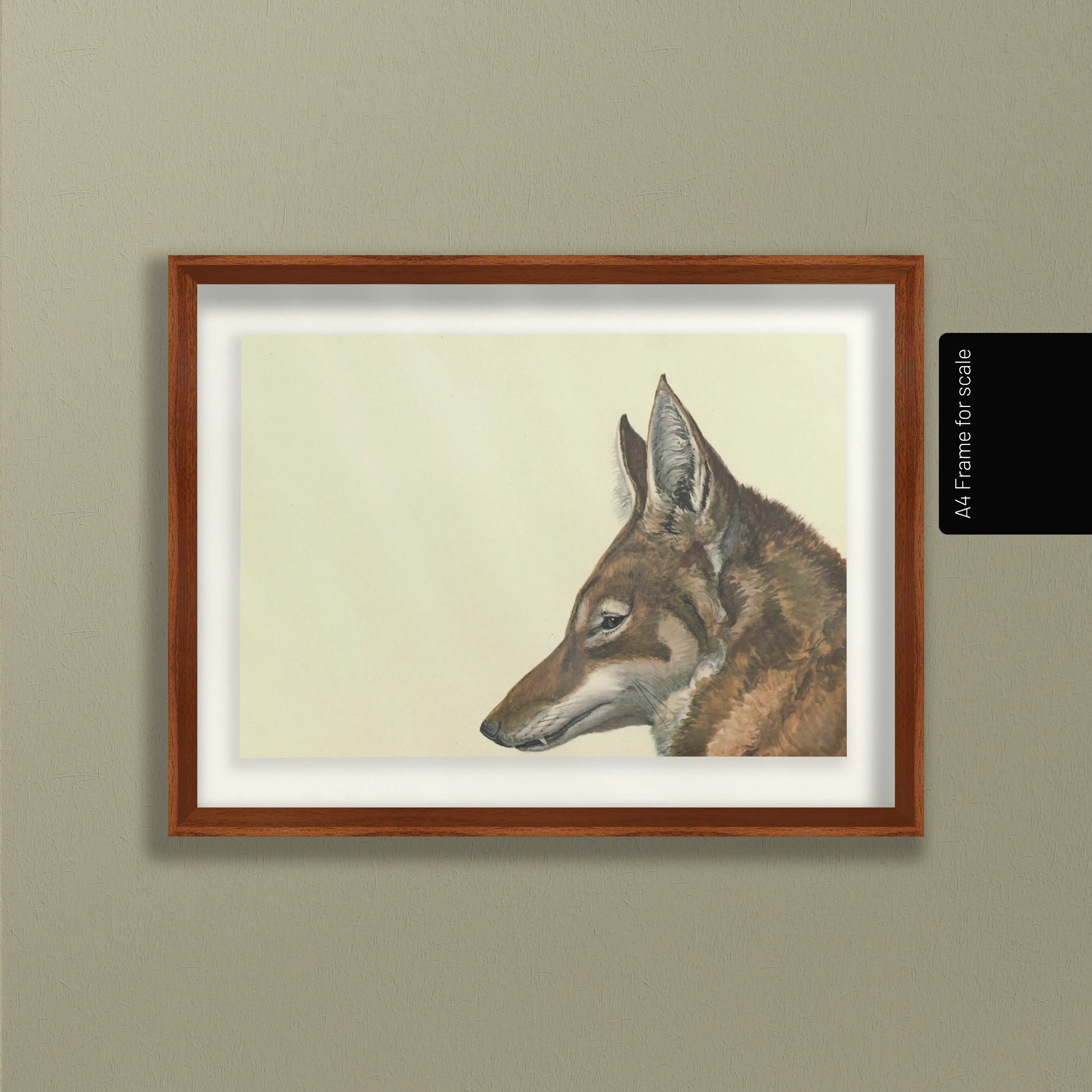 Natural History: Plate No. 06
