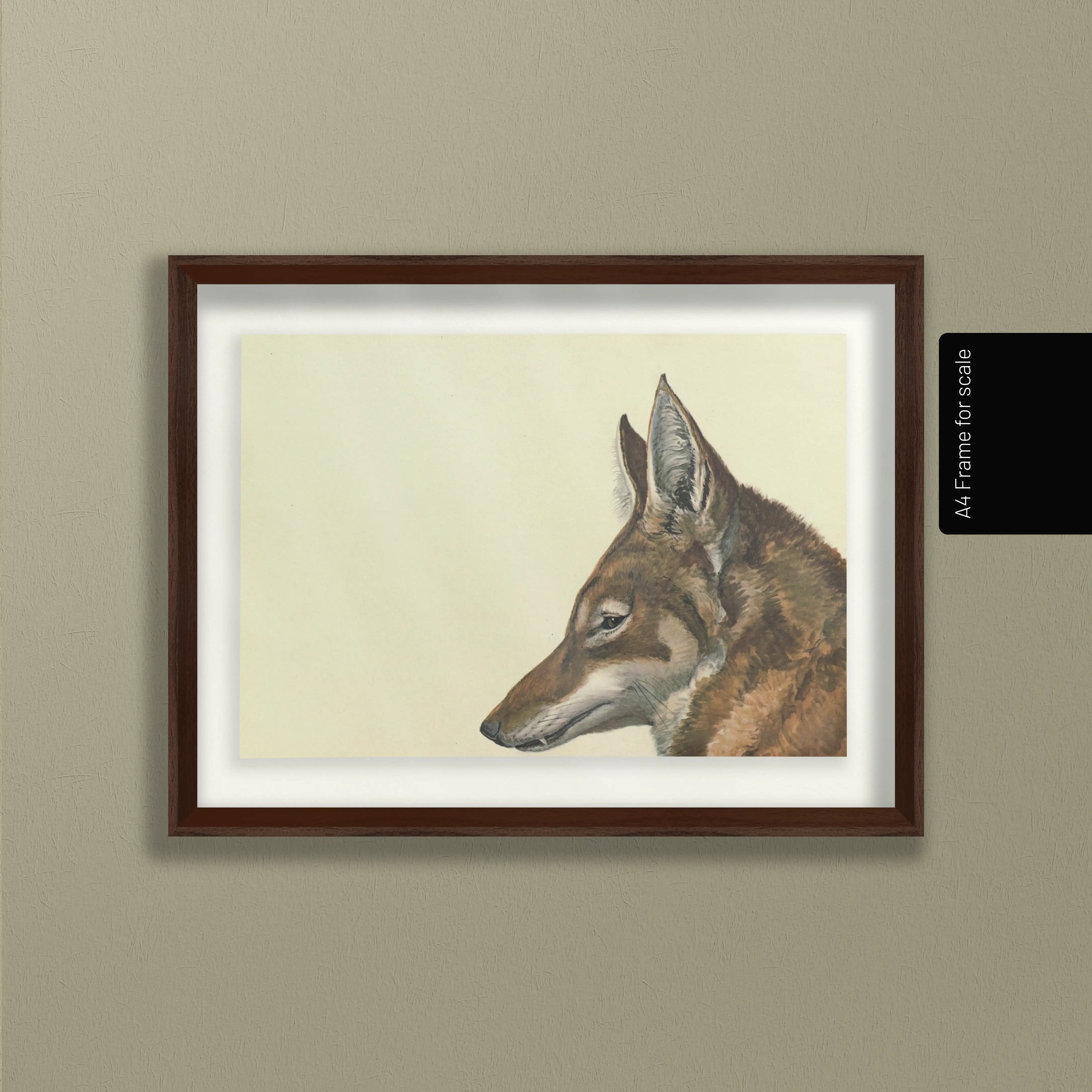 Natural History: Plate No. 06