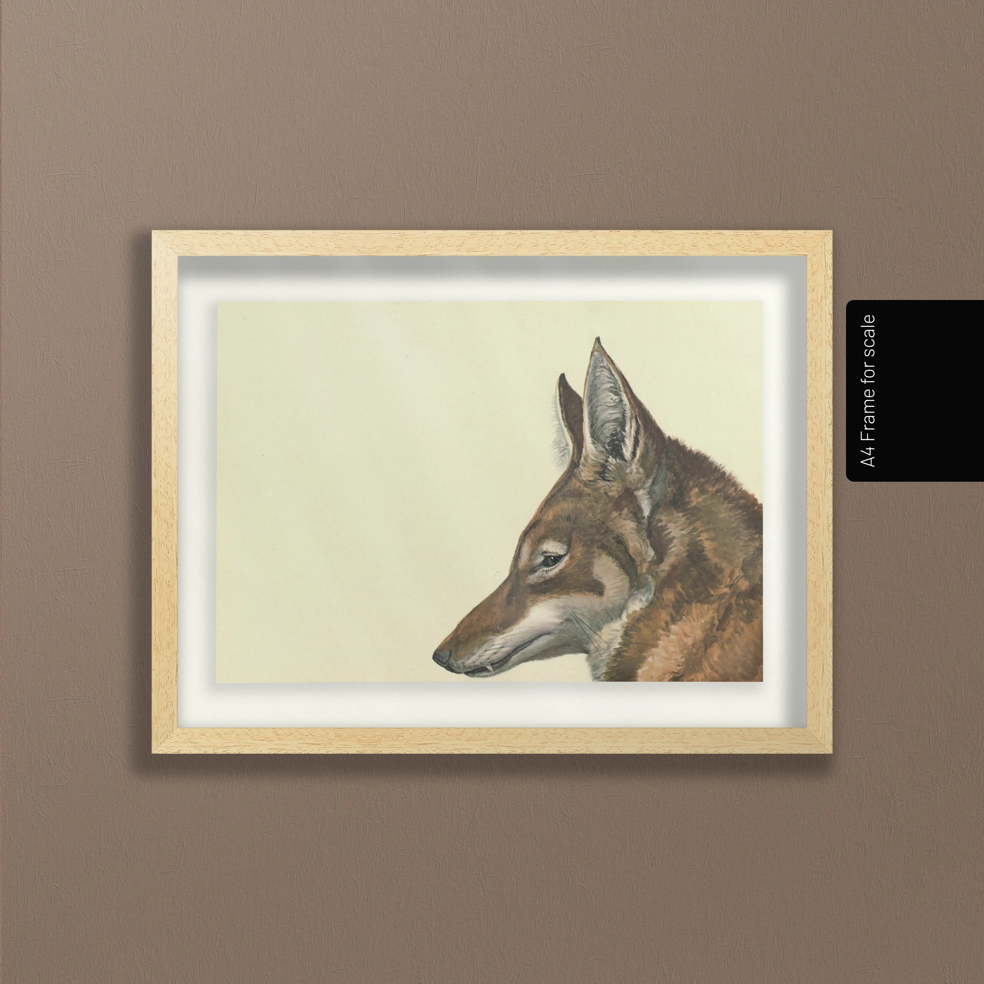 Natural History: Plate No. 06