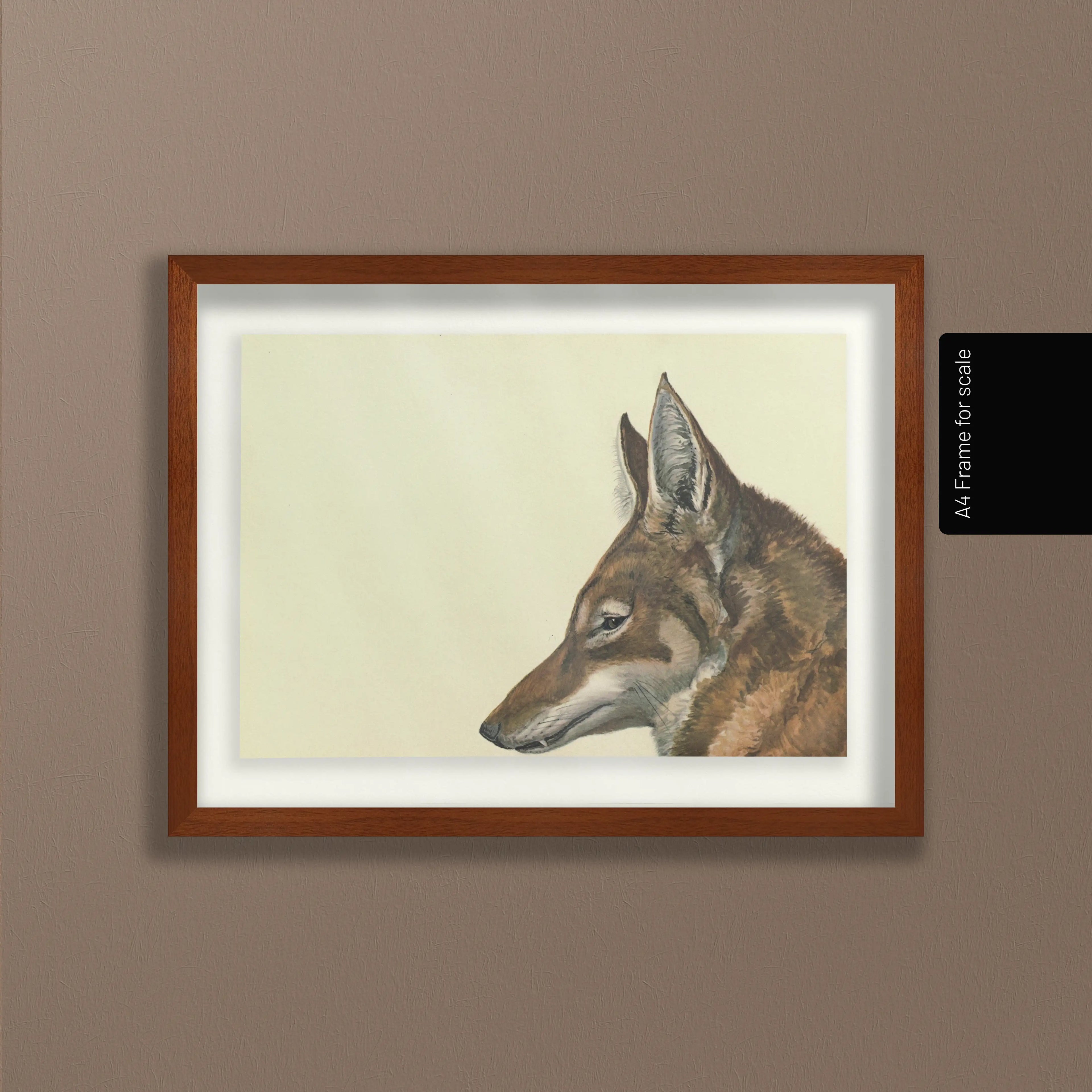 Natural History: Plate No. 06