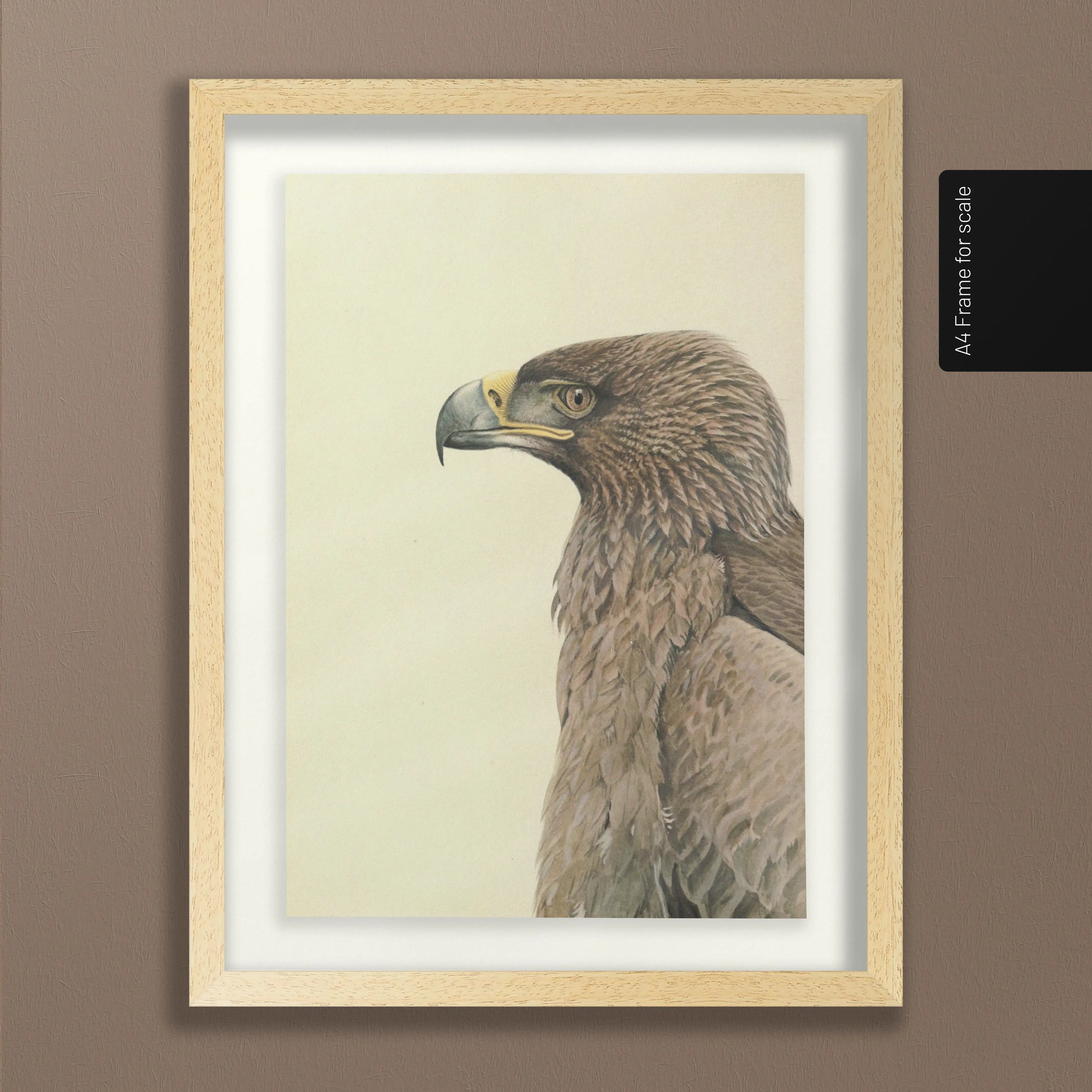 Natural History: Plate No. 07