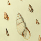 Natural History: Plate No. 10