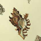 Natural History: Plate No. 15