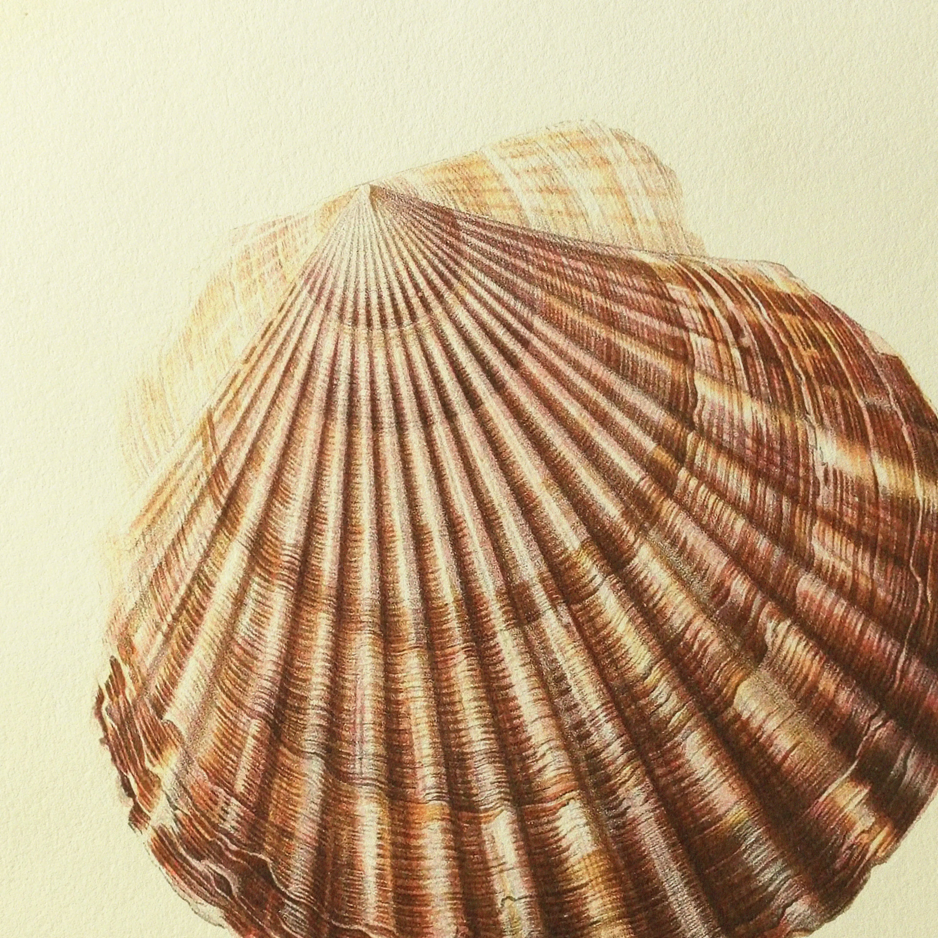 Natural History: Plate No. 17