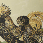 Natural History: Plate No. 22