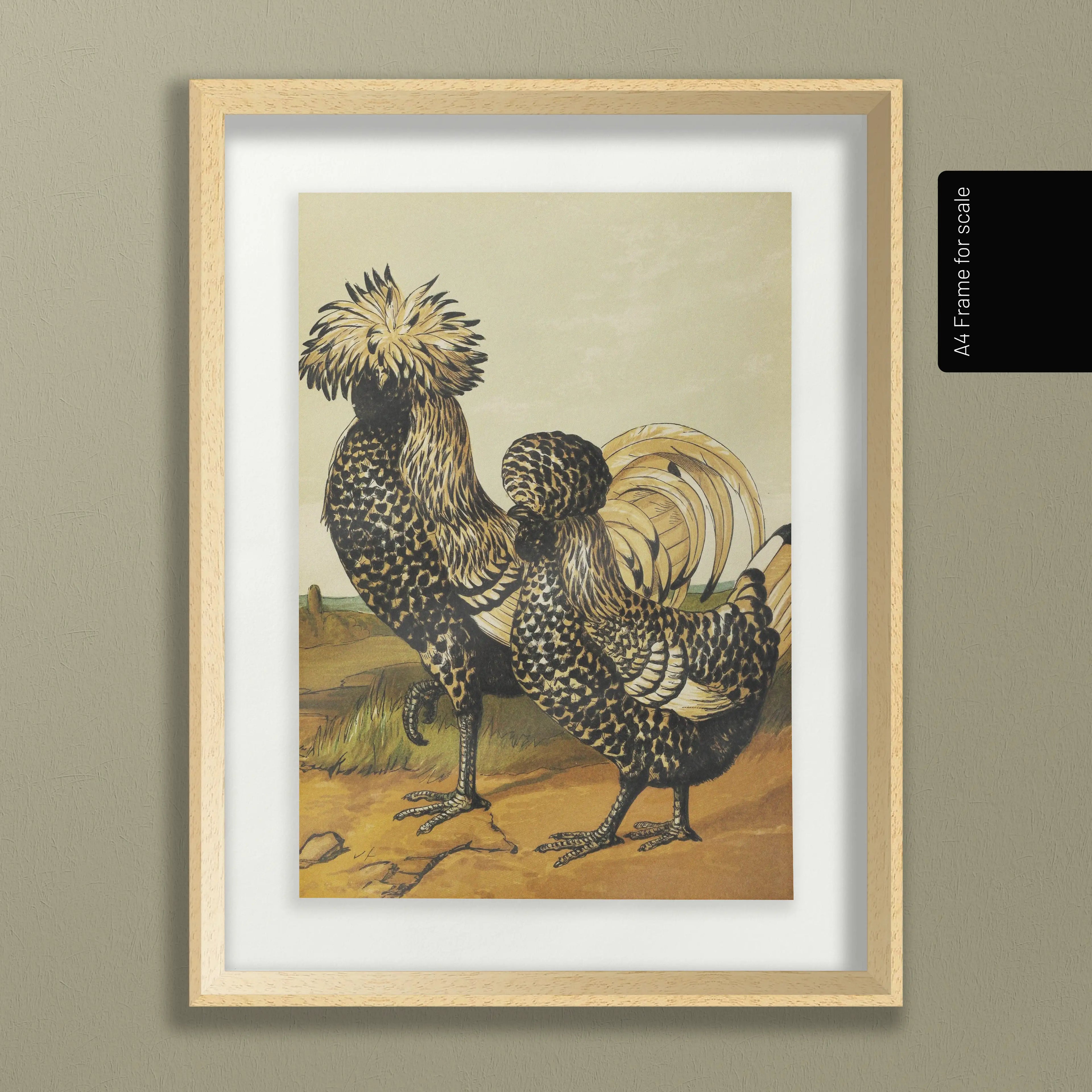 Natural History: Plate No. 22