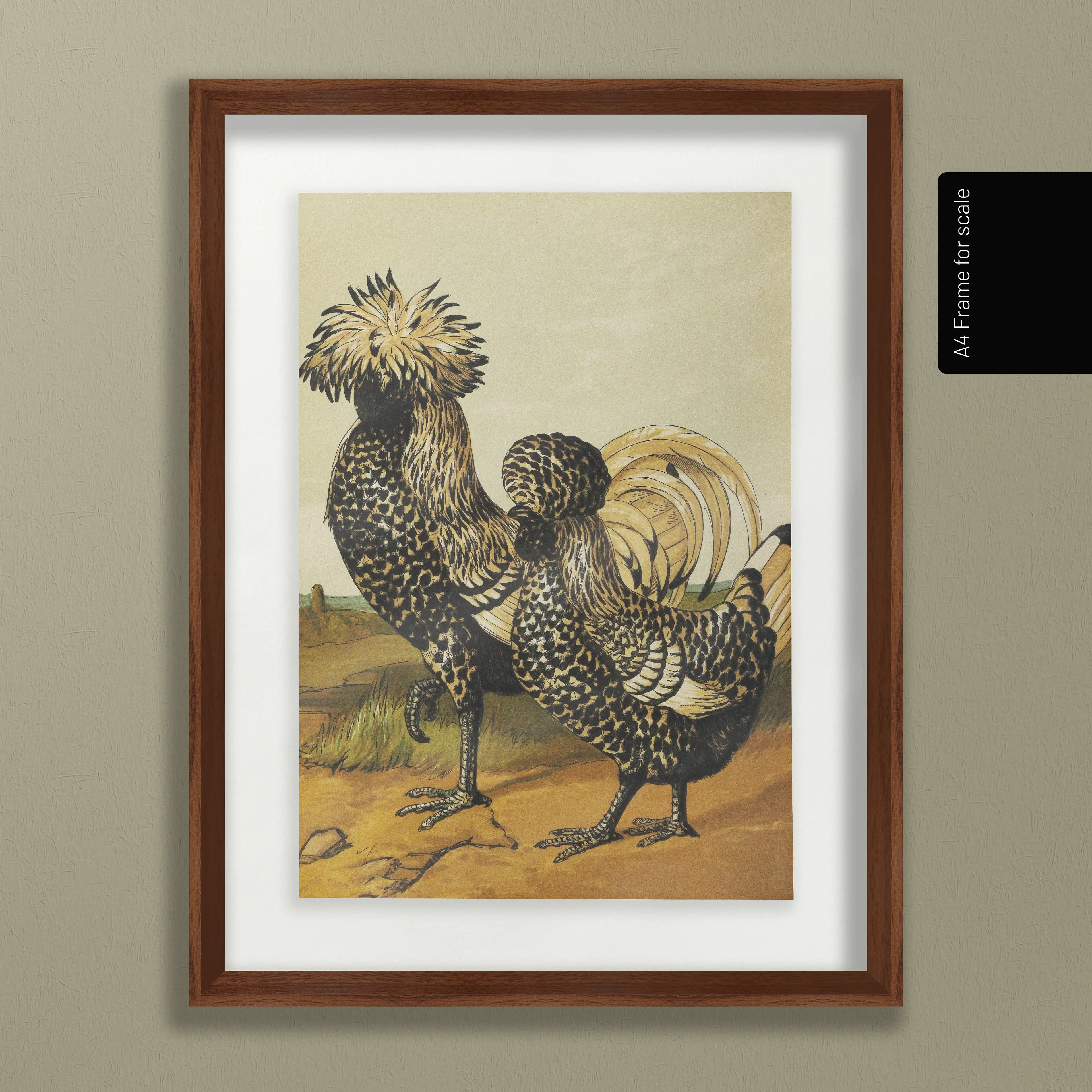 Natural History: Plate No. 22