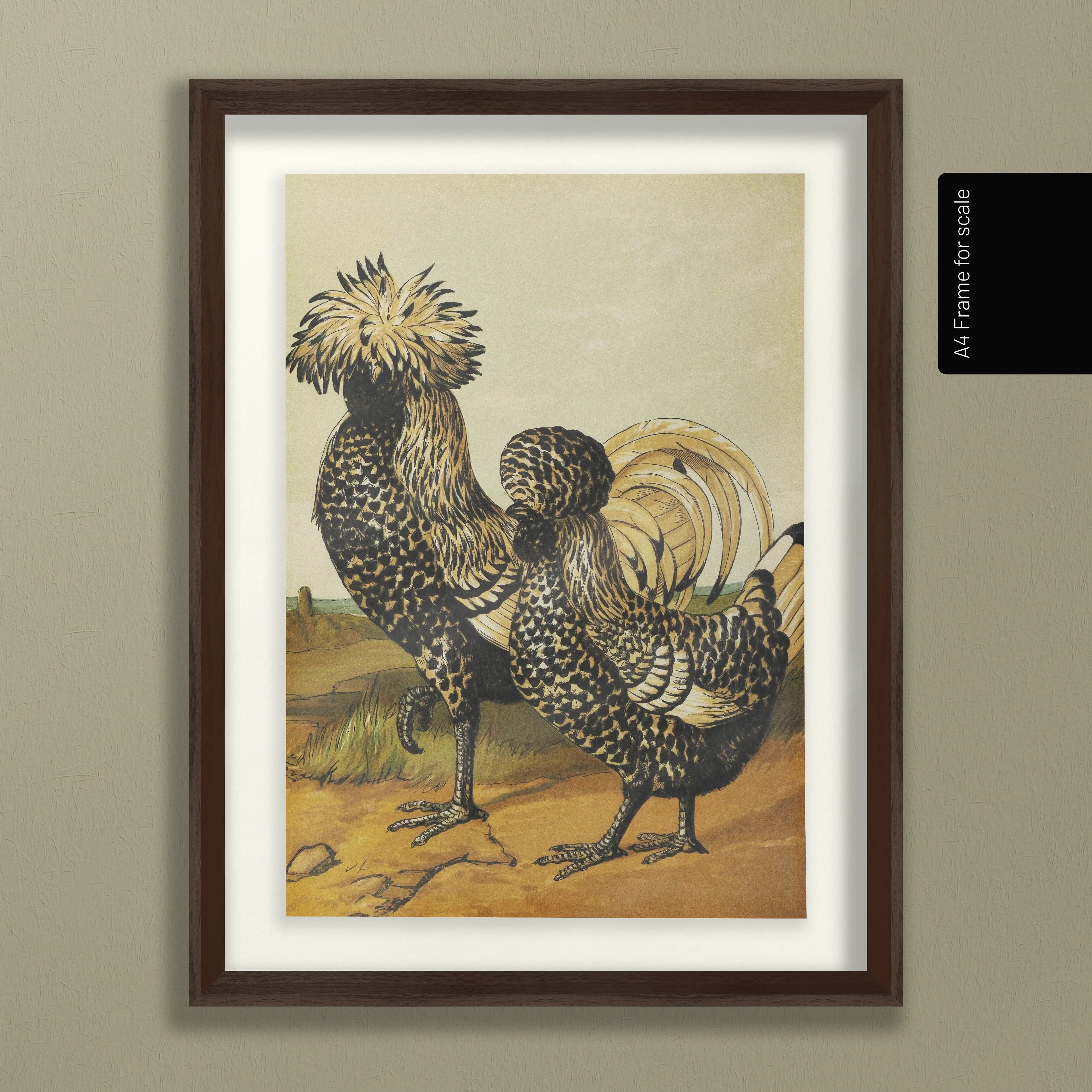 Natural History: Plate No. 22