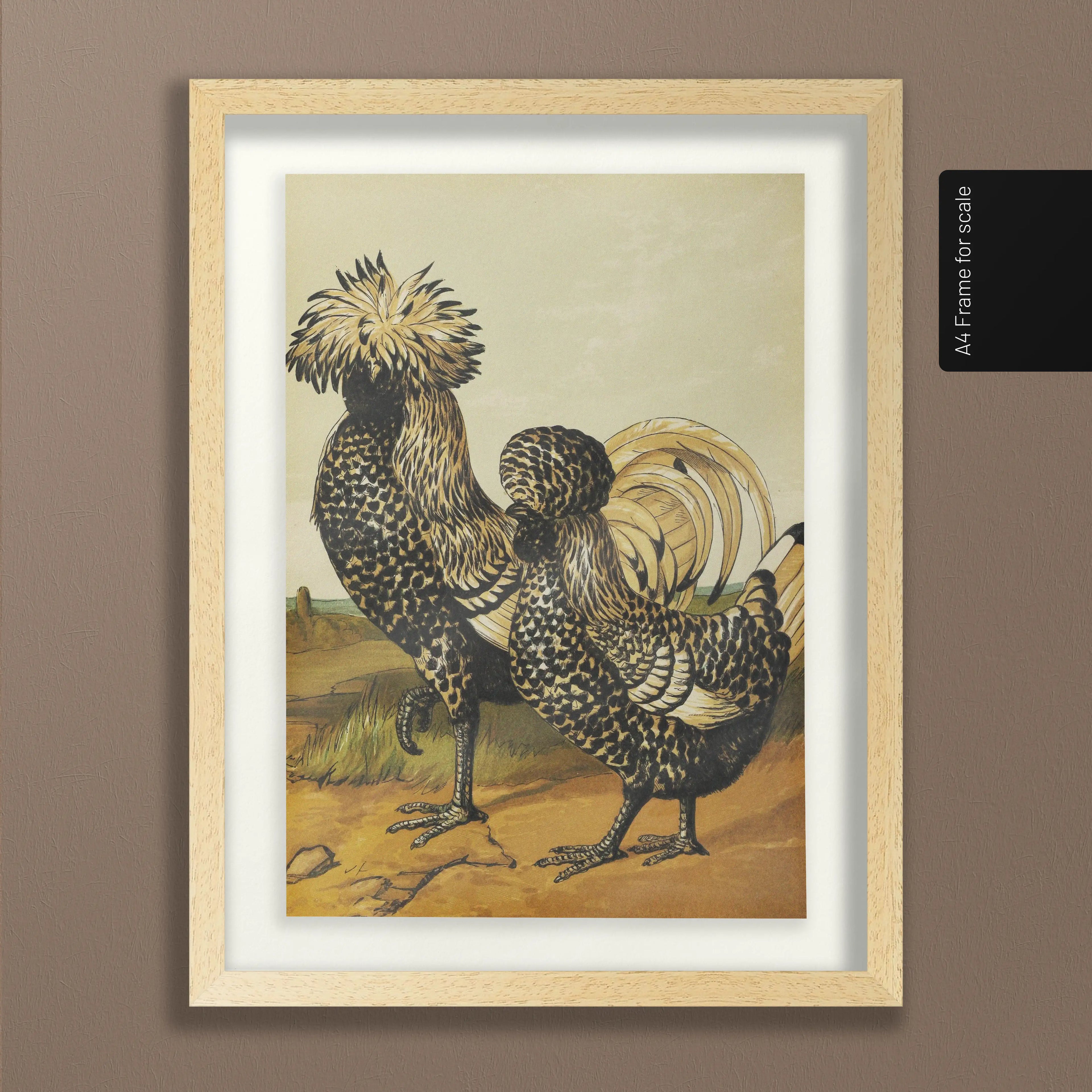 Natural History: Plate No. 22