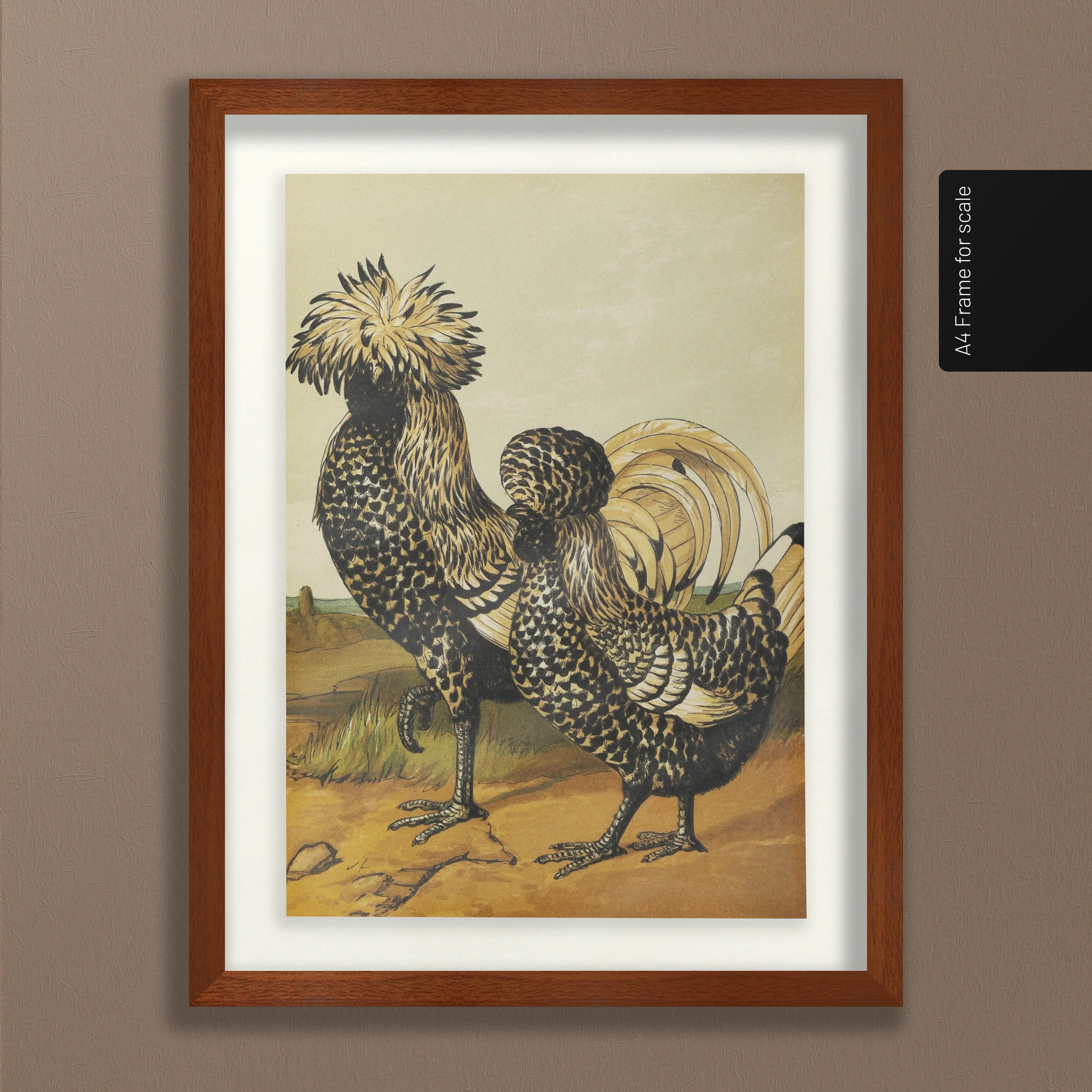 Natural History: Plate No. 22