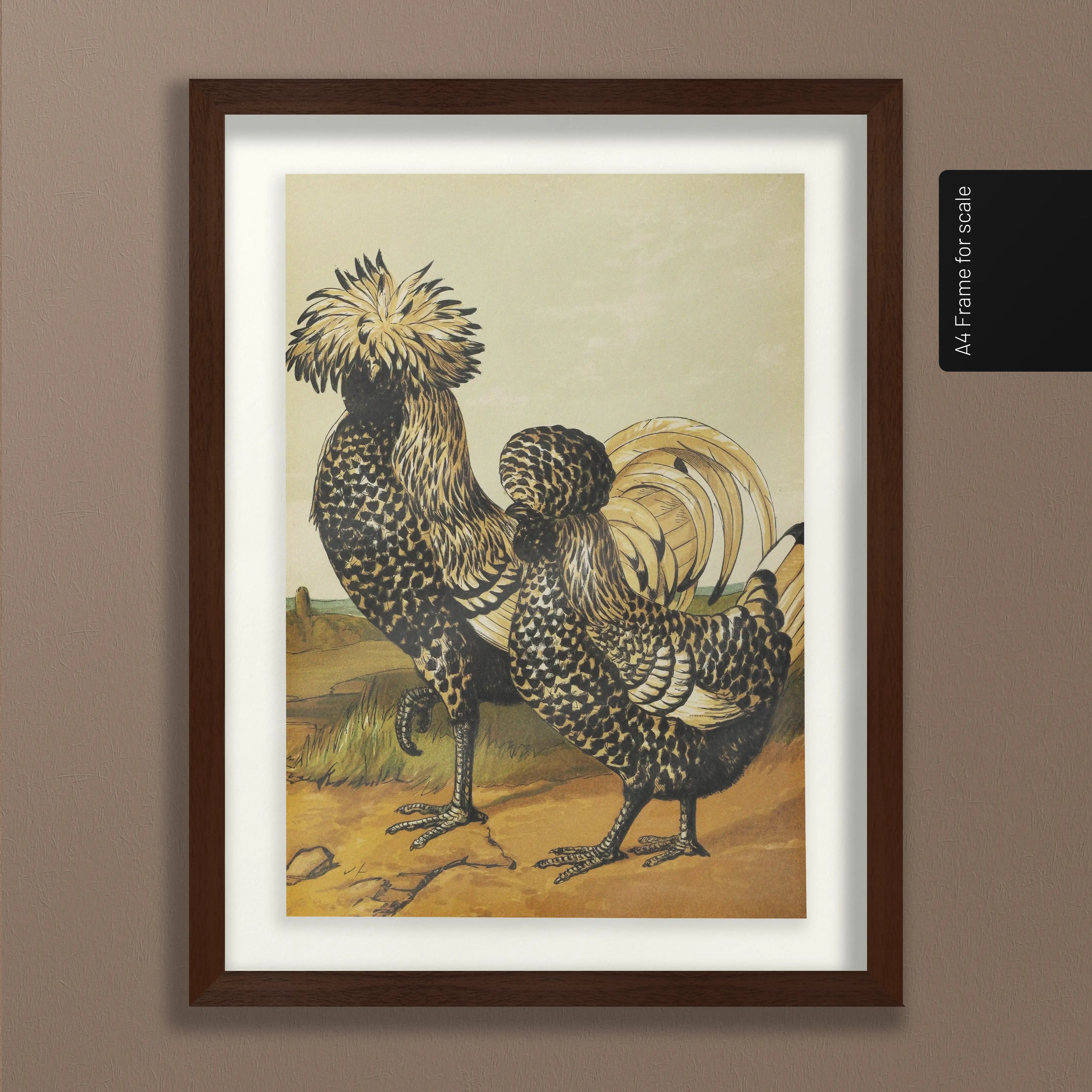 Natural History: Plate No. 22