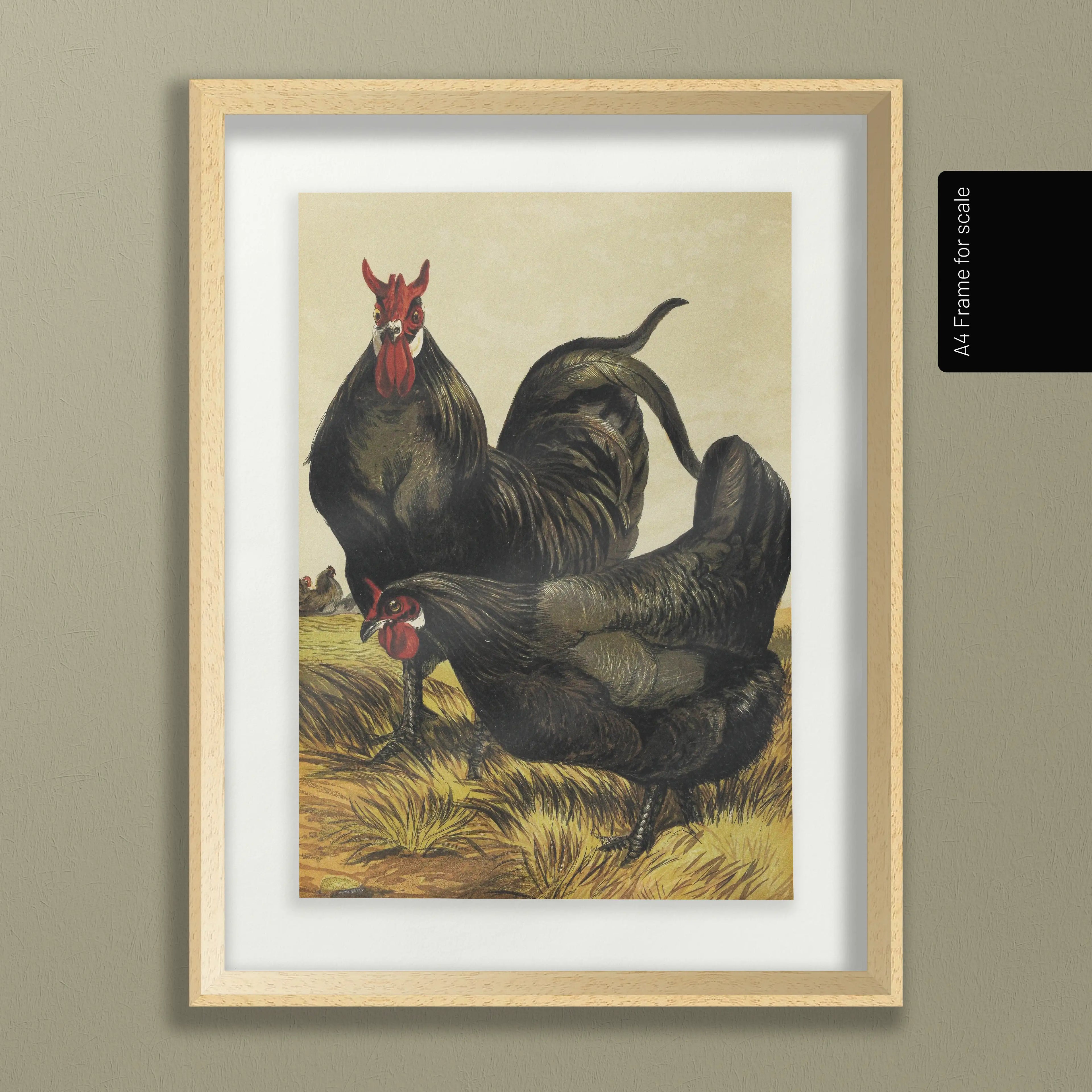 Natural History: Plate No. 23