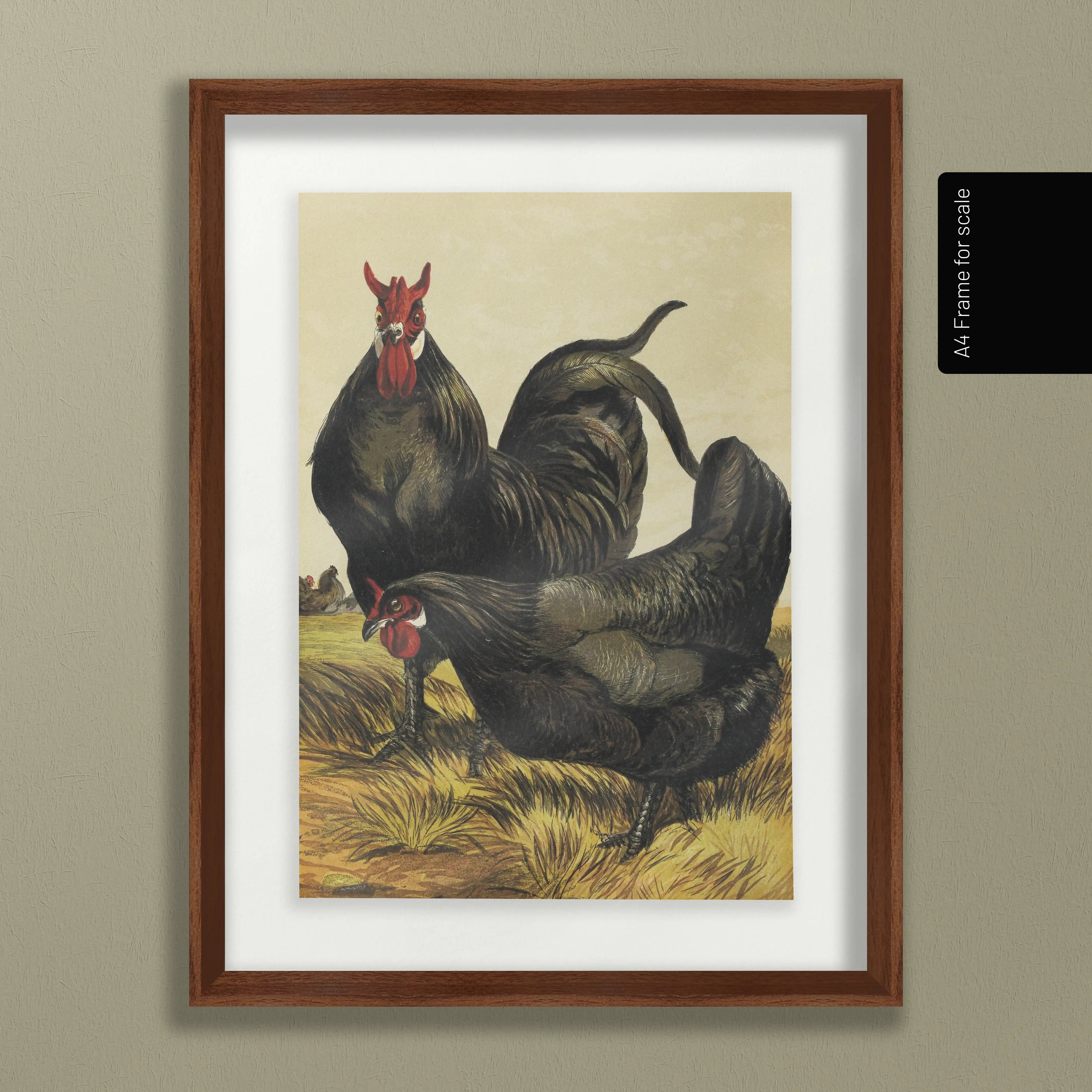 Natural History: Plate No. 23